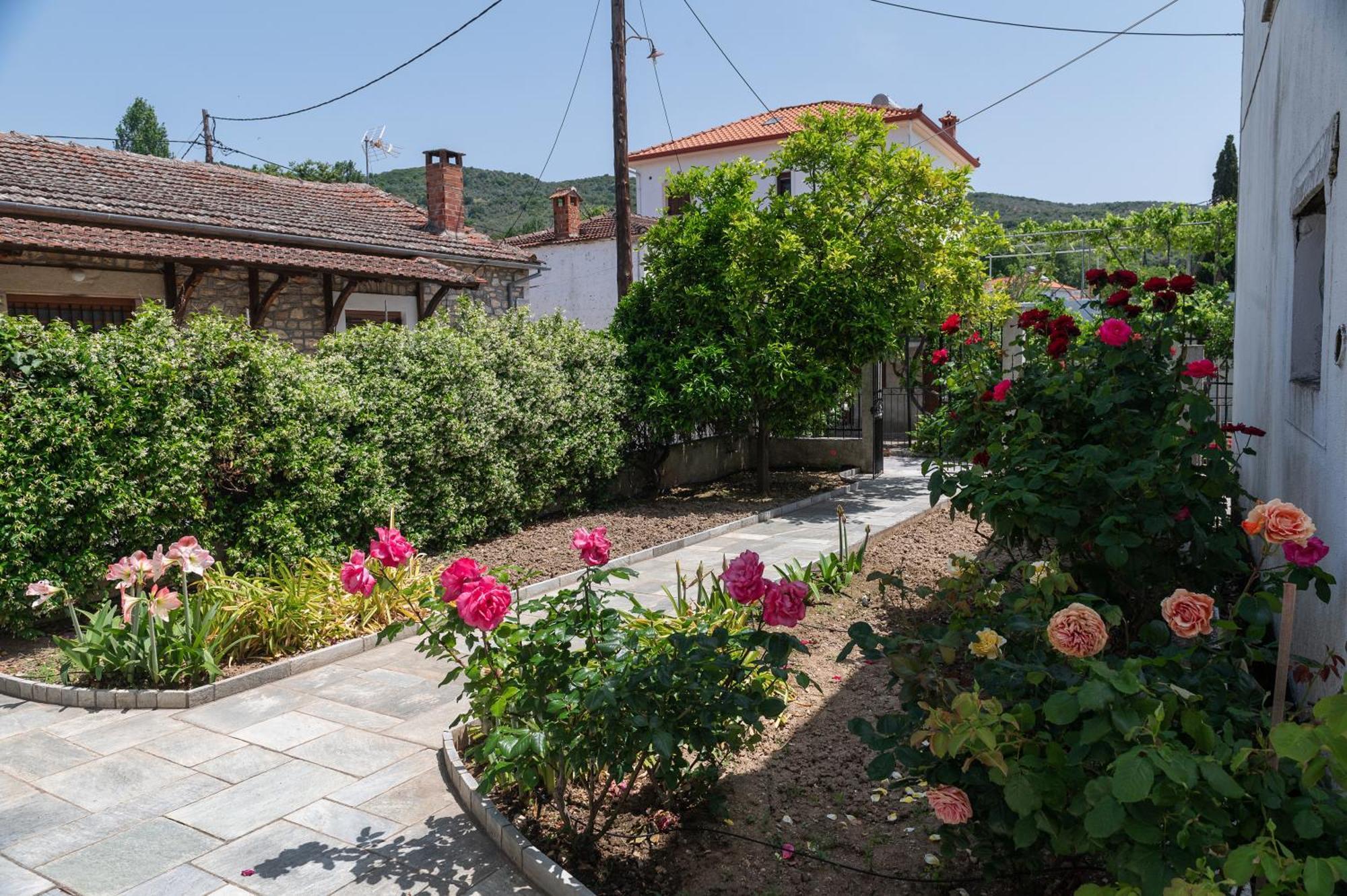 Apartment Zmas Chorto