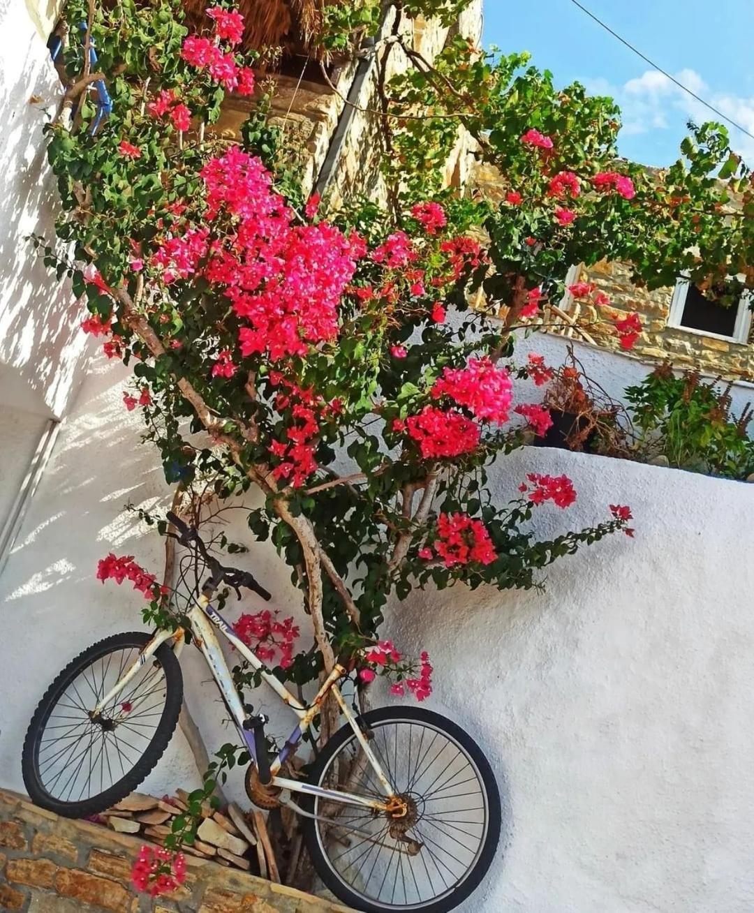 4 Seasons Suites Paradise Near Athens Airport *
