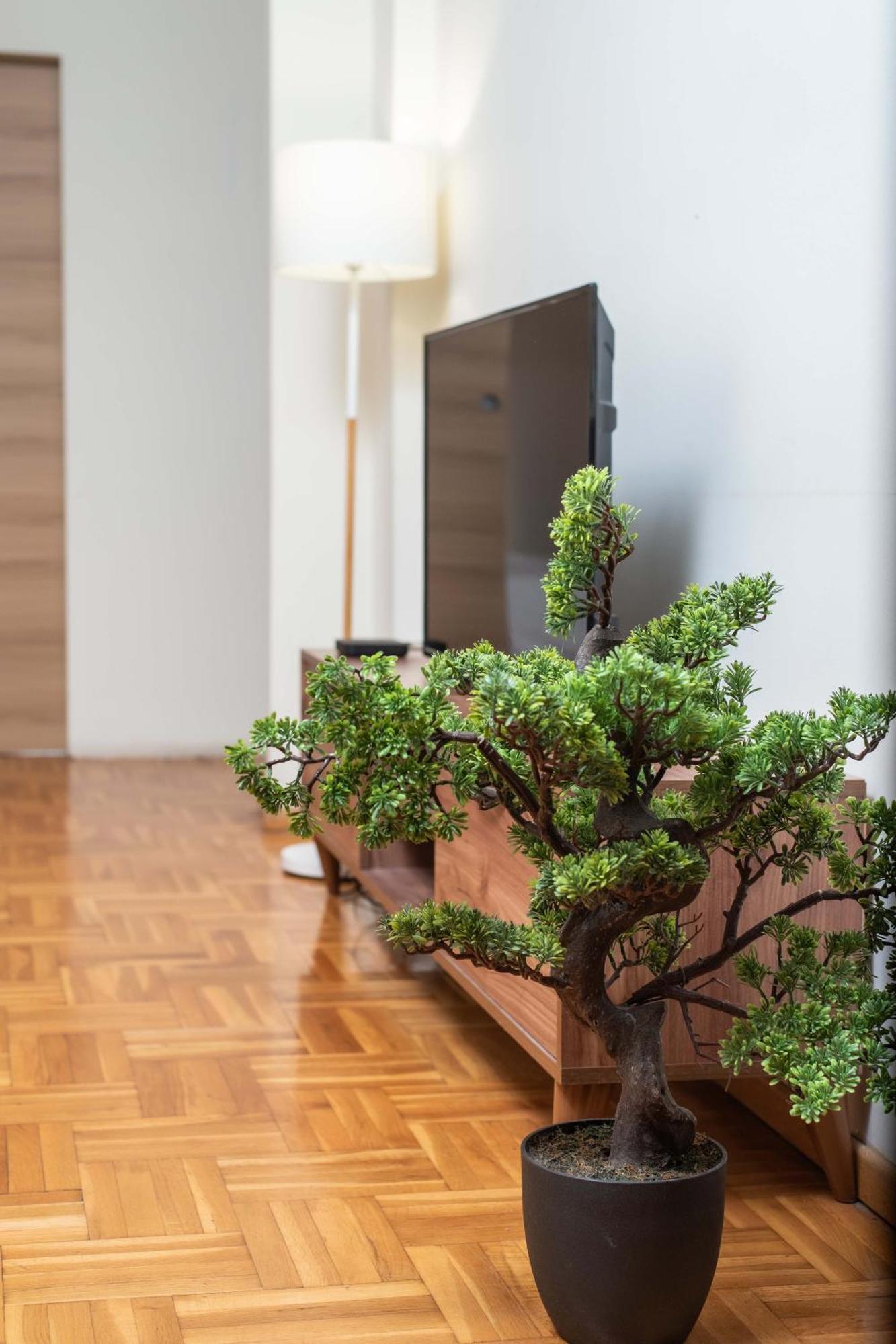 Apartment Houseloft Forum Premium *