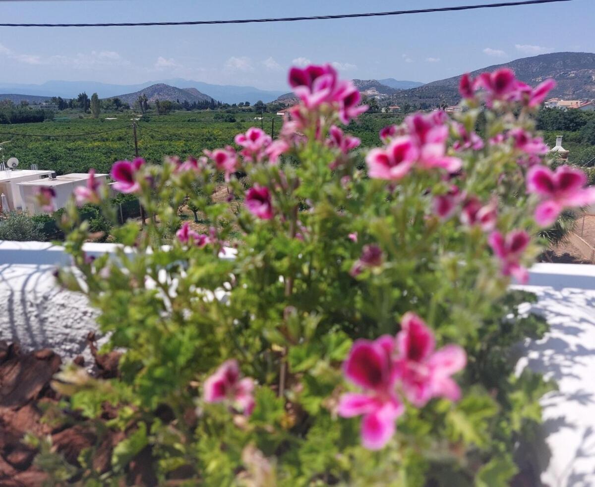 Plaka 16 - 'the Roof' - Drepano, Nafplio Apartment