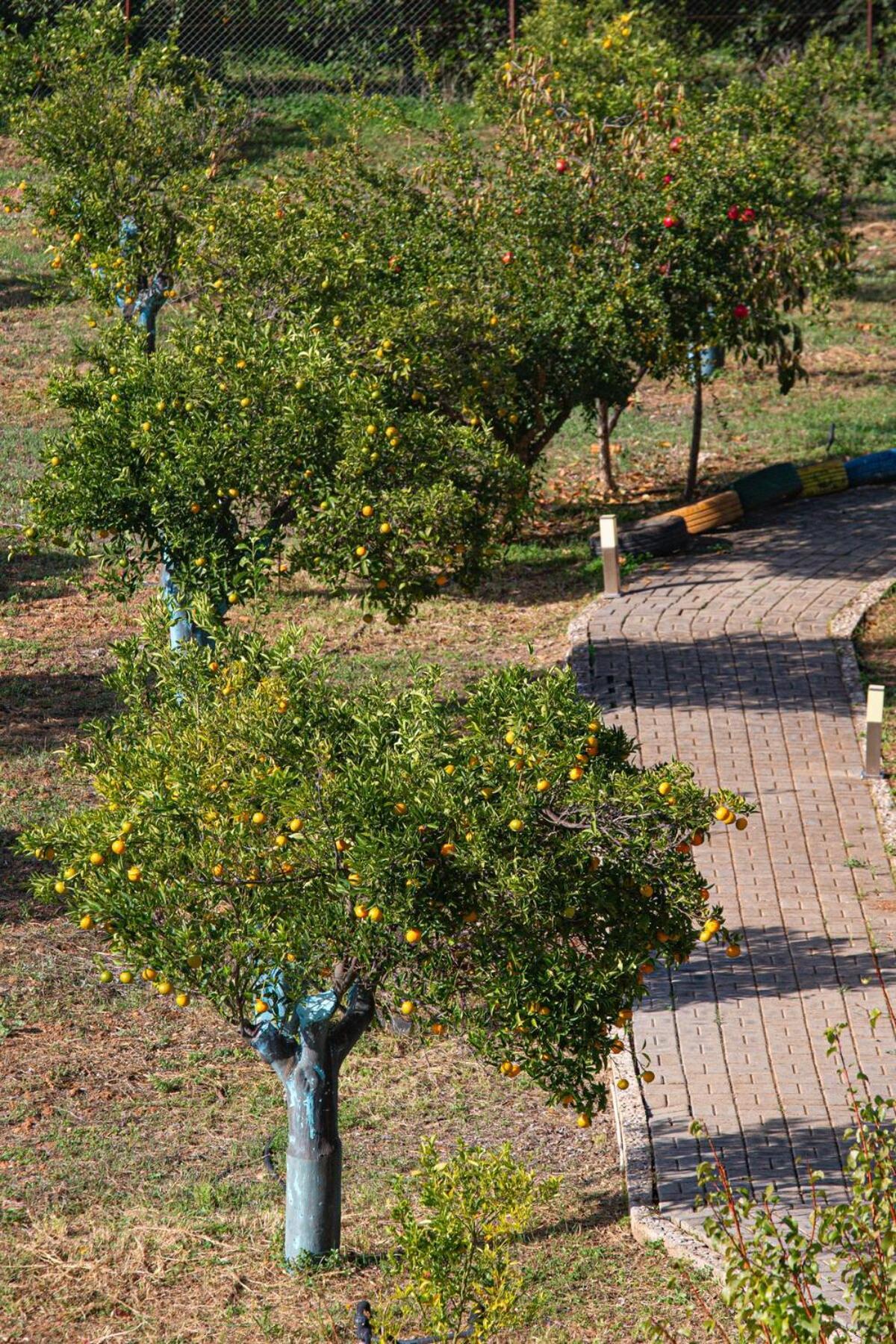Plaka 16 - 'the Roof' - Drepano, Nafplio Apartment