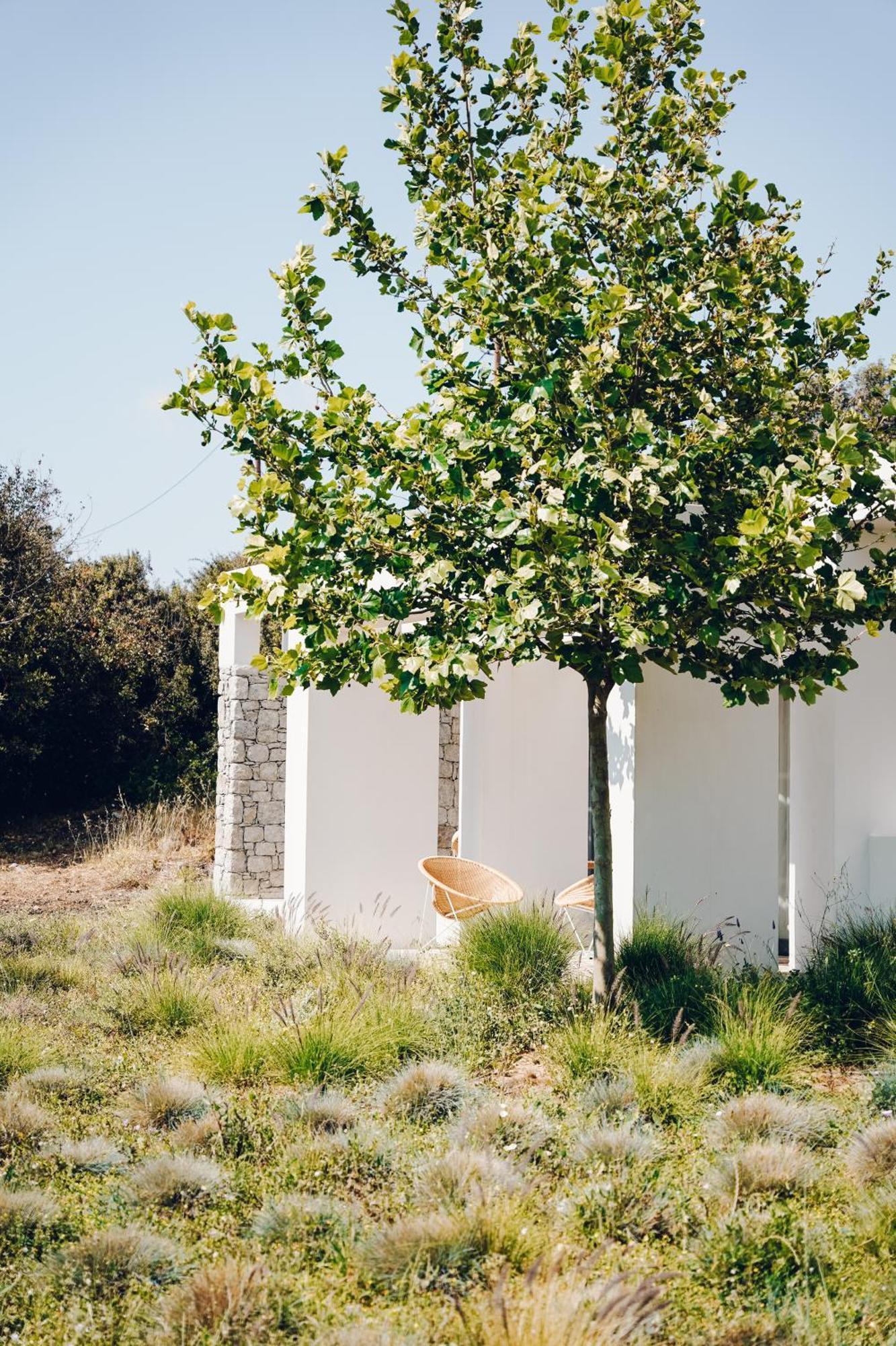 Villa Hidden Hill Naxos