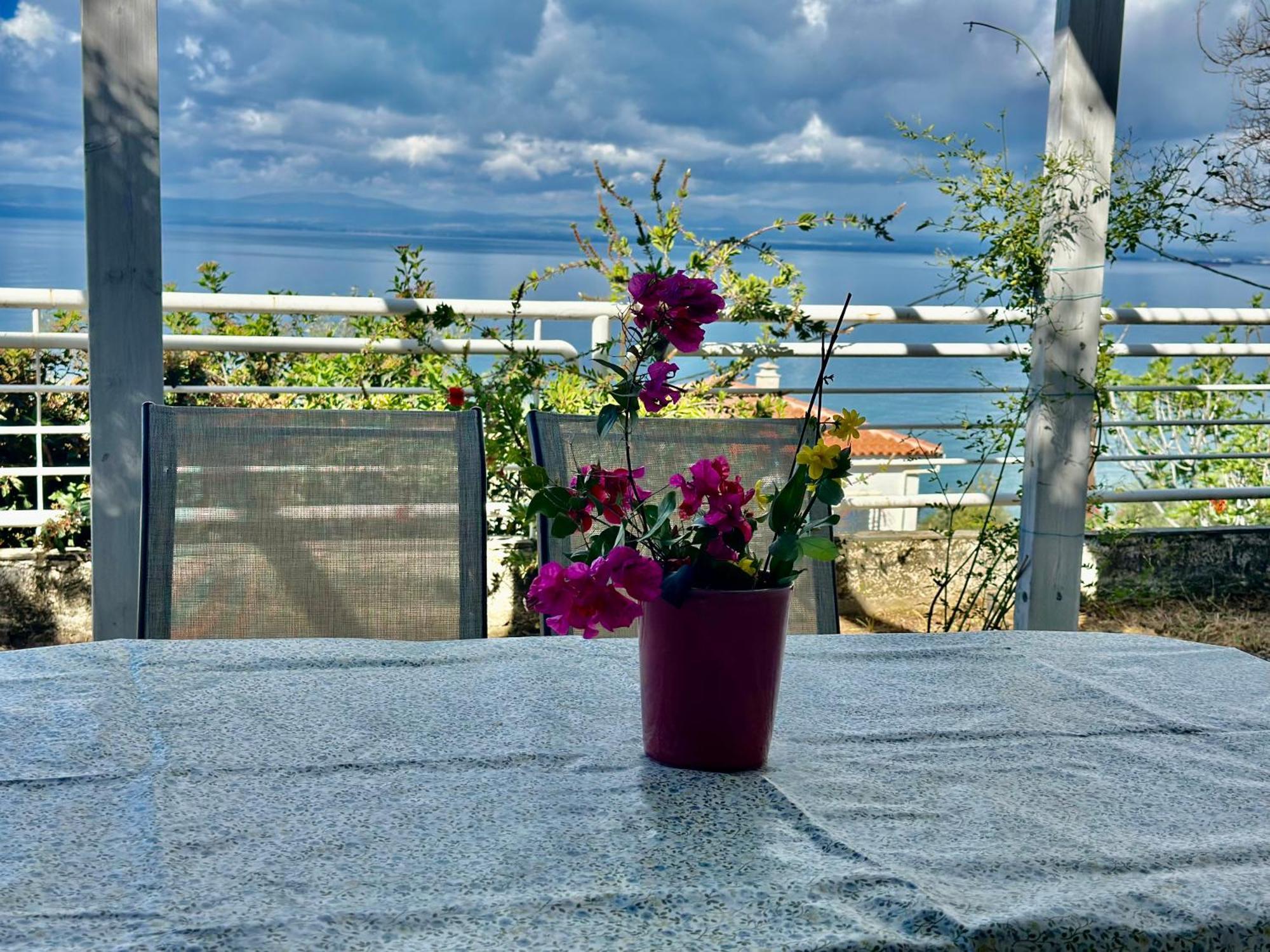Pinelopi Holiday home Kalamata