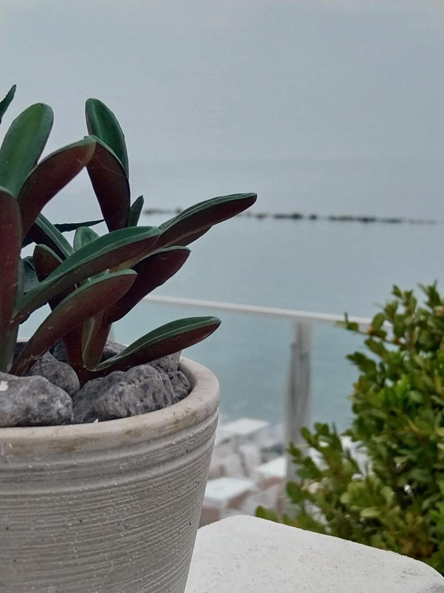 Galazio Seaside Luxury & Coffee Shop * Platamonas