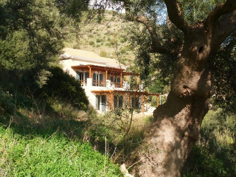 With Seaview Lefkada Apartment *