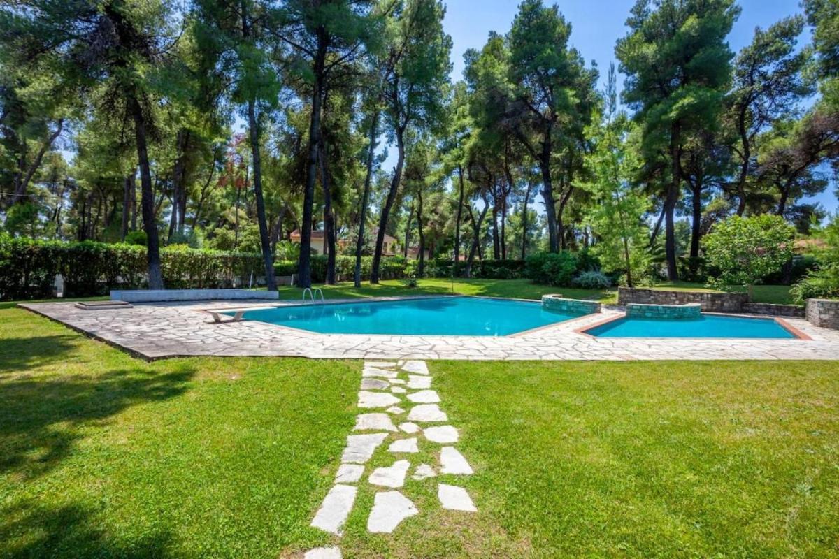 Villa Palms Jacuzzi And Pool