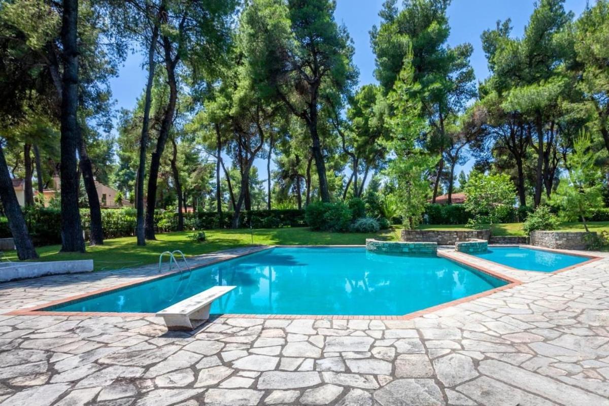 Palms Jacuzzi And Pool