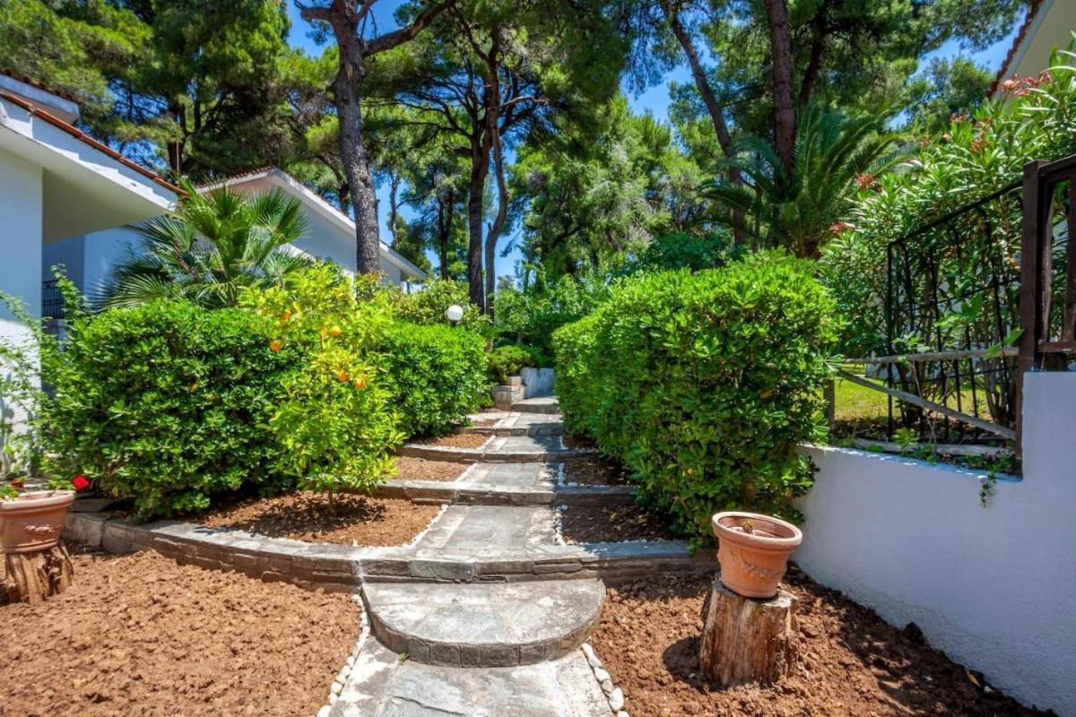 Palms Jacuzzi And Pool Villa Sani (Chalkidiki)