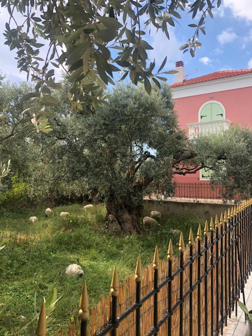 Villas Thassos Villa