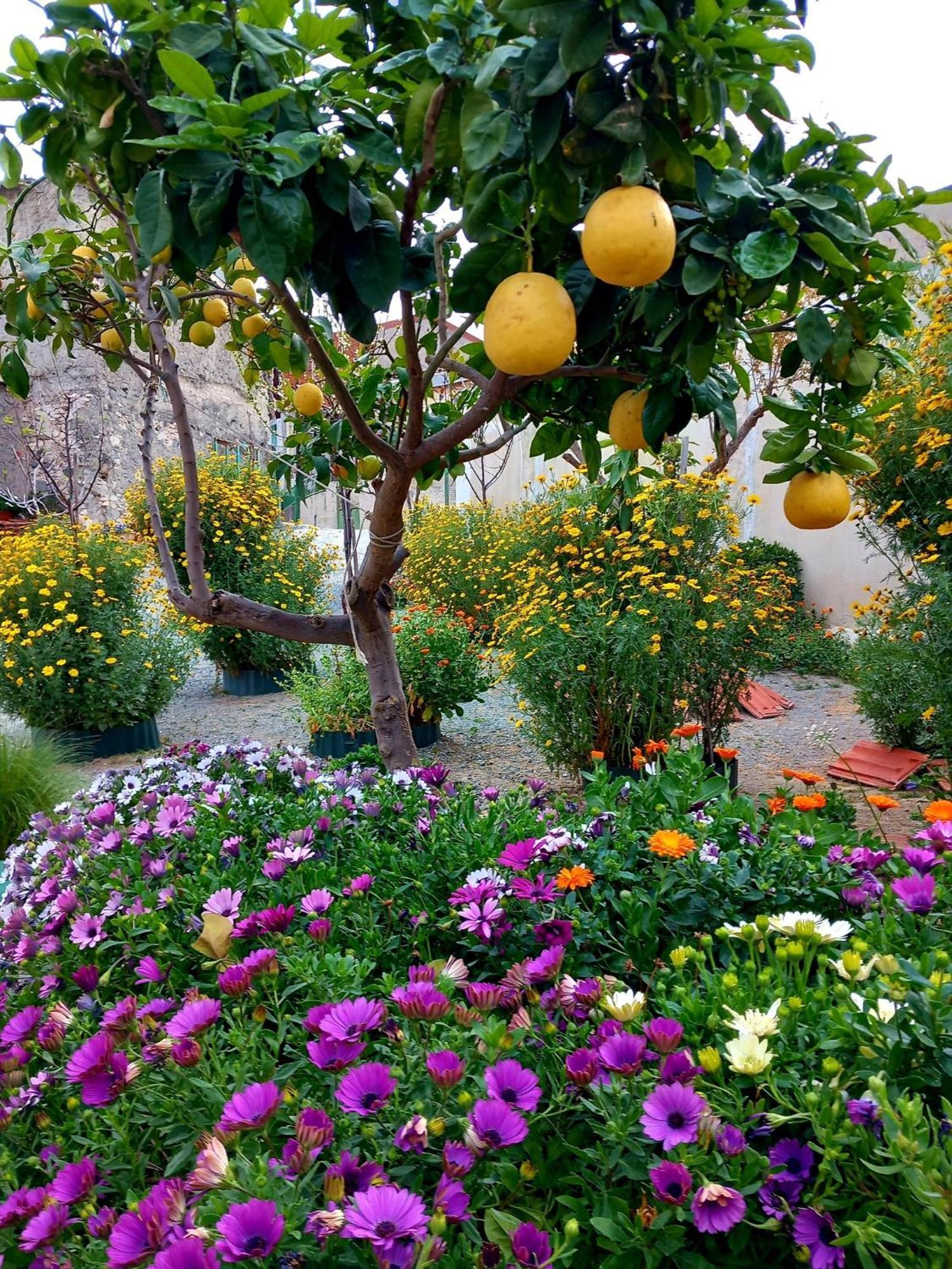 4 Seasons Suites Paradise Near Athens Airport Apartment