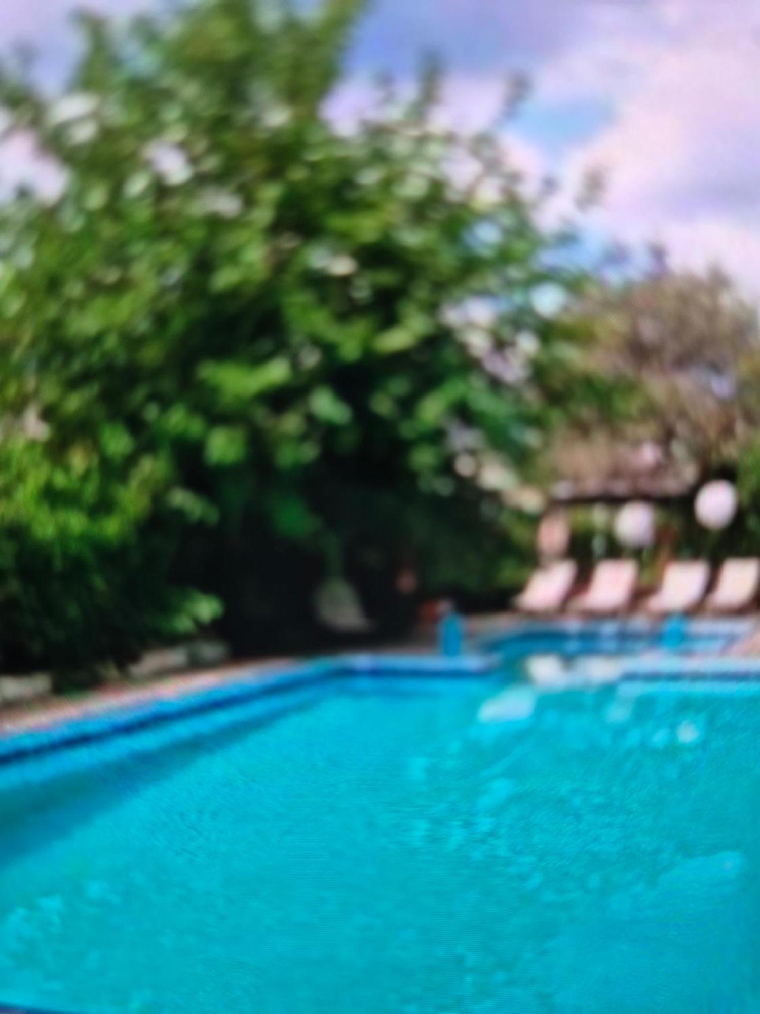 Dolphins Aparthotel