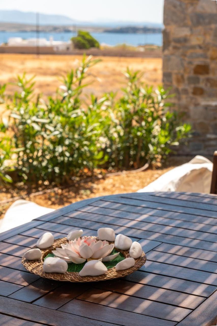 Cycladic Breeze Villa *