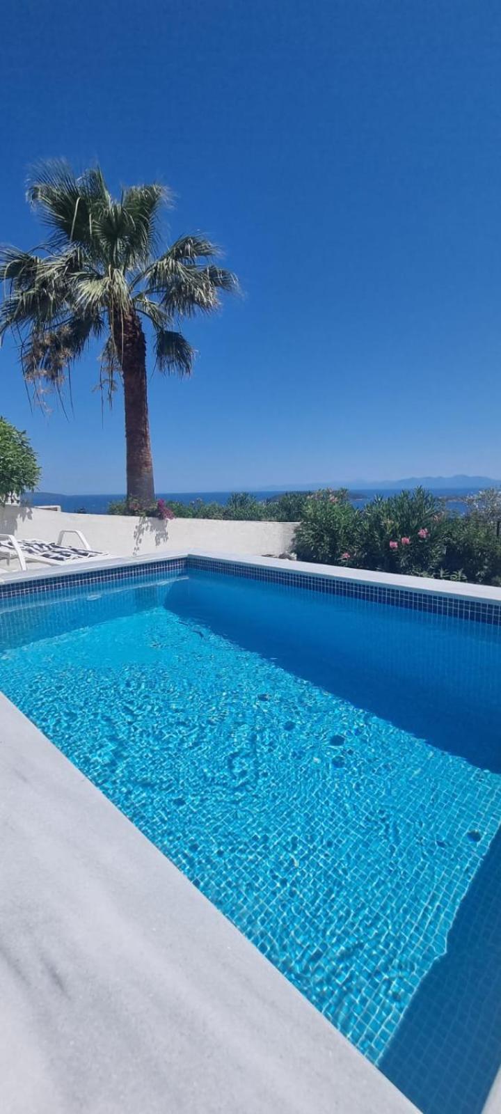 Kalliope Theater-like Sea Views 4 Bedrooms Villa Skiathos Town