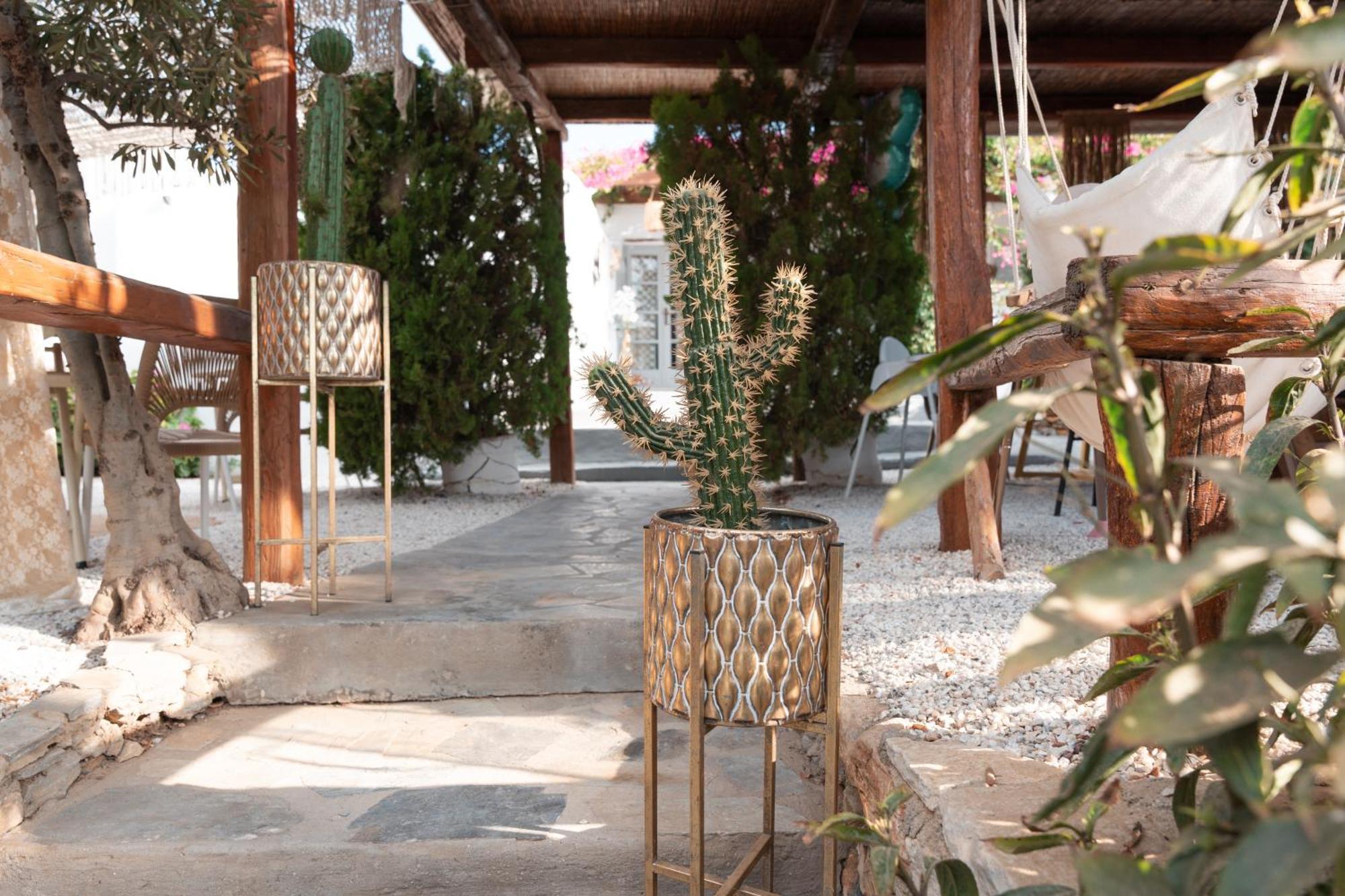 Sunrock - Menexes * Stelida (Naxos)
