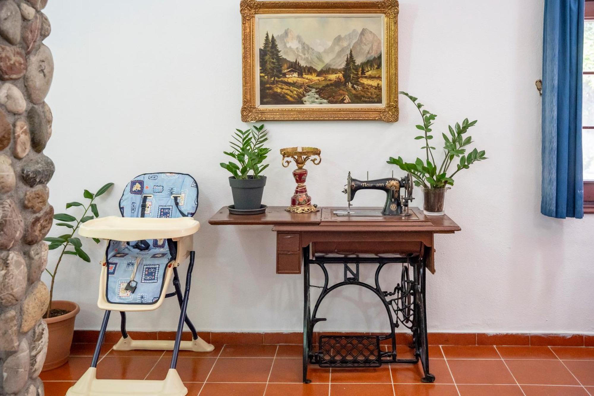 Guest house Pineas 3*