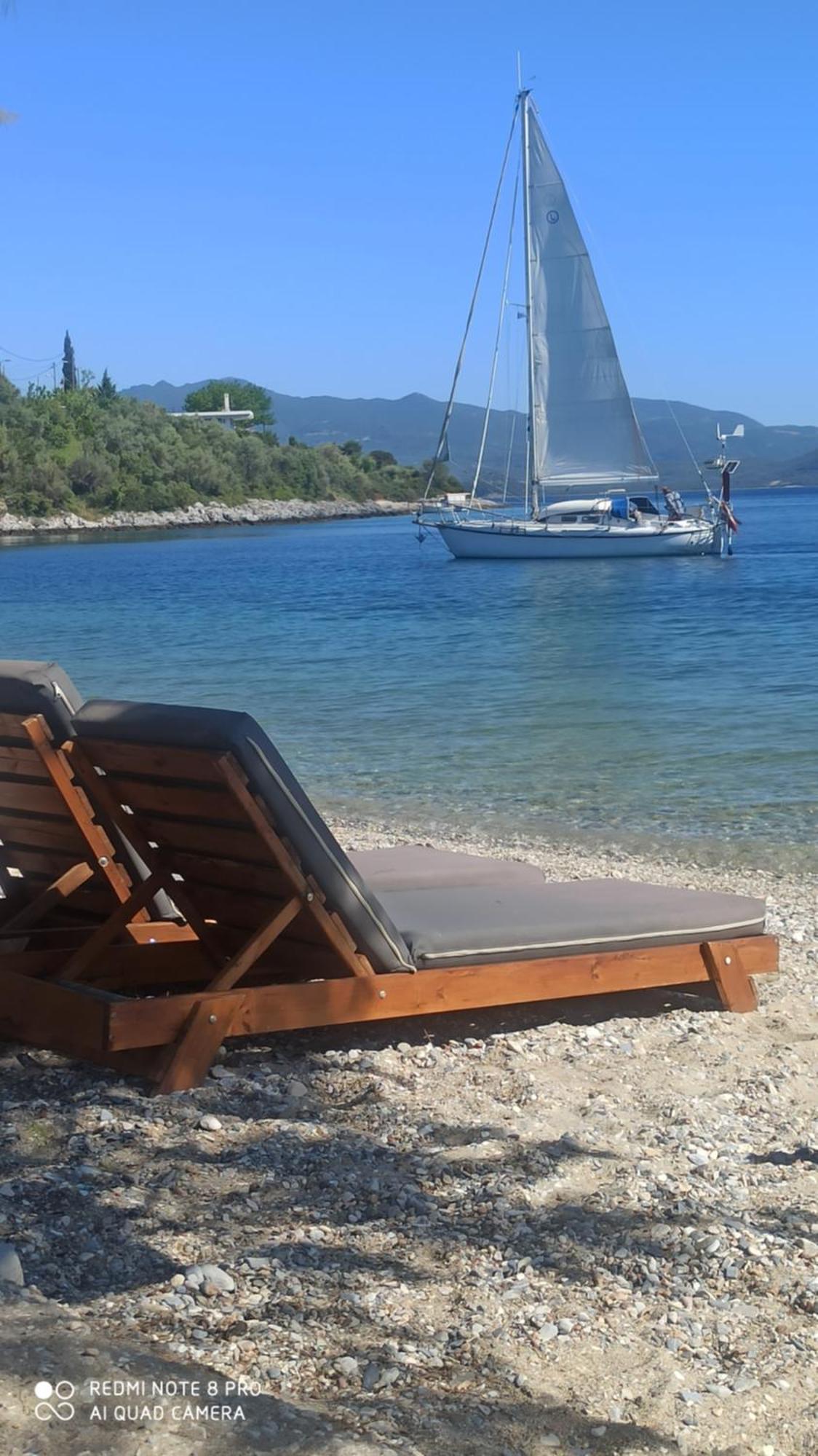 Blu Glifa (Stylida)