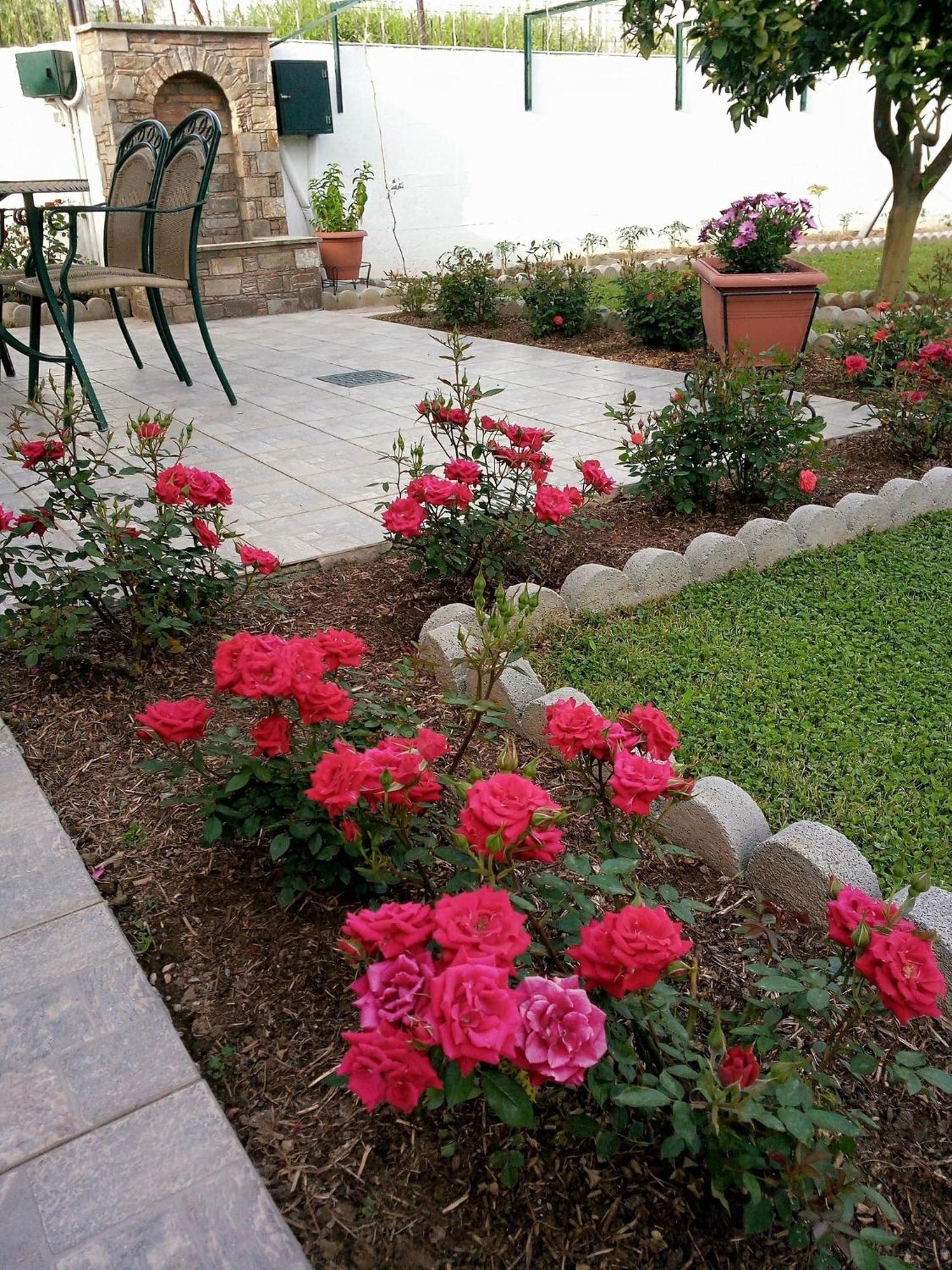 4 Seasons Suites Paradise Near Athens Airport * Markopoulo Mesogaias