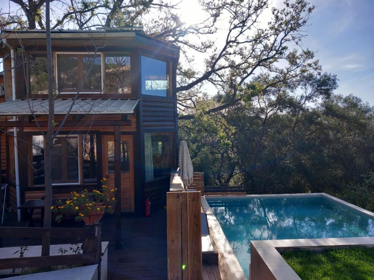 Romantic Tree House