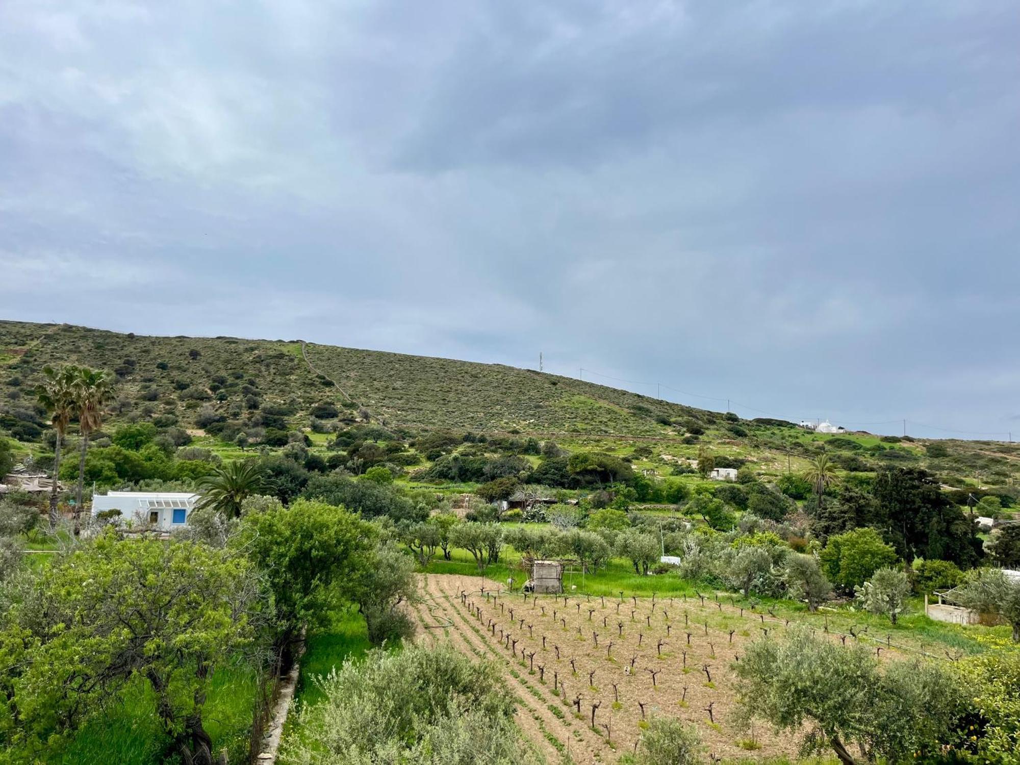 Casa Baku Holiday home