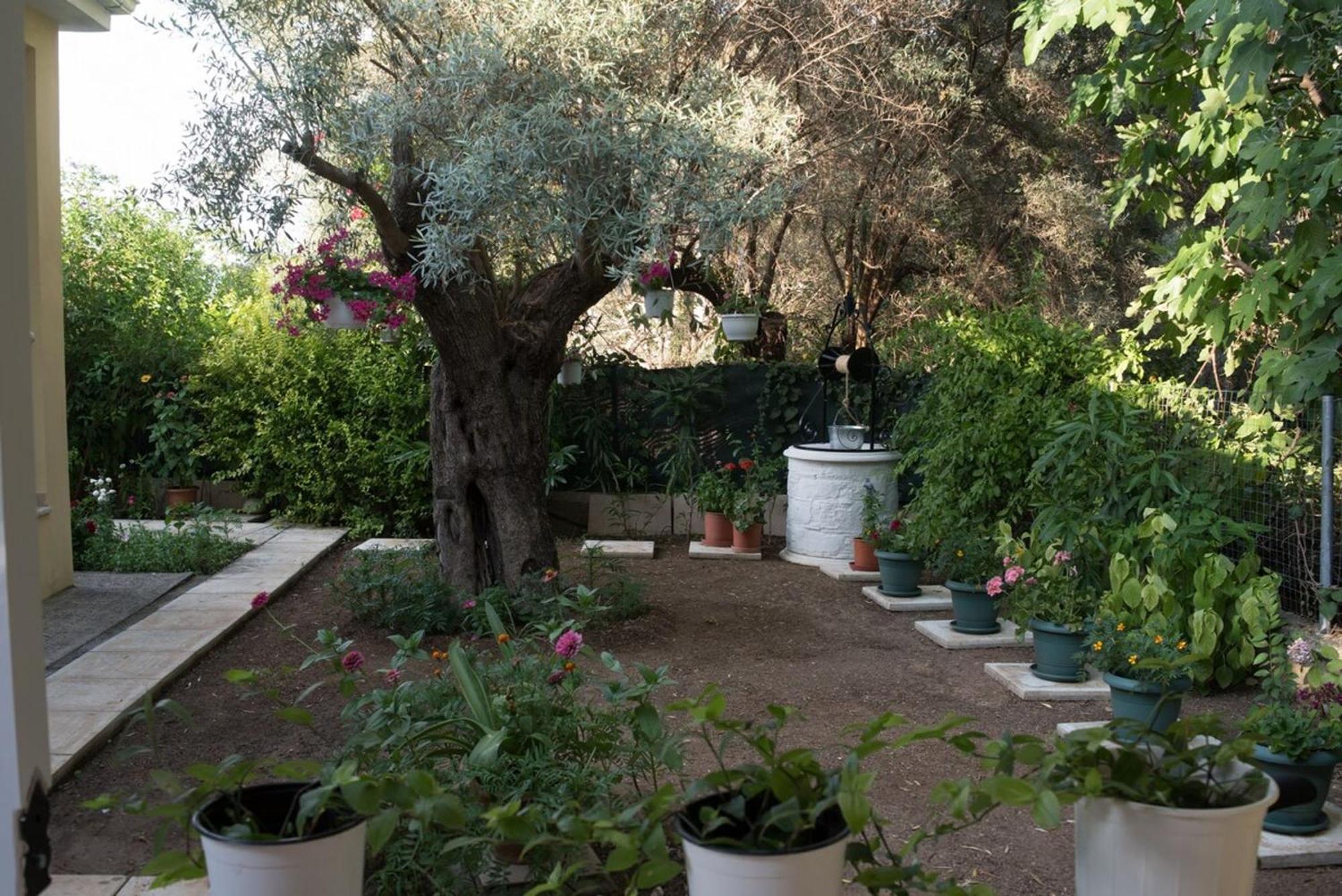Holiday home Lefkada Summer House Near The *