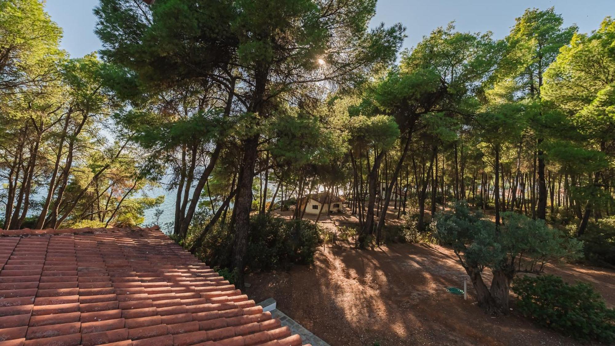 Squirrel Front Villa, * Metamorfosi (Sithonia)