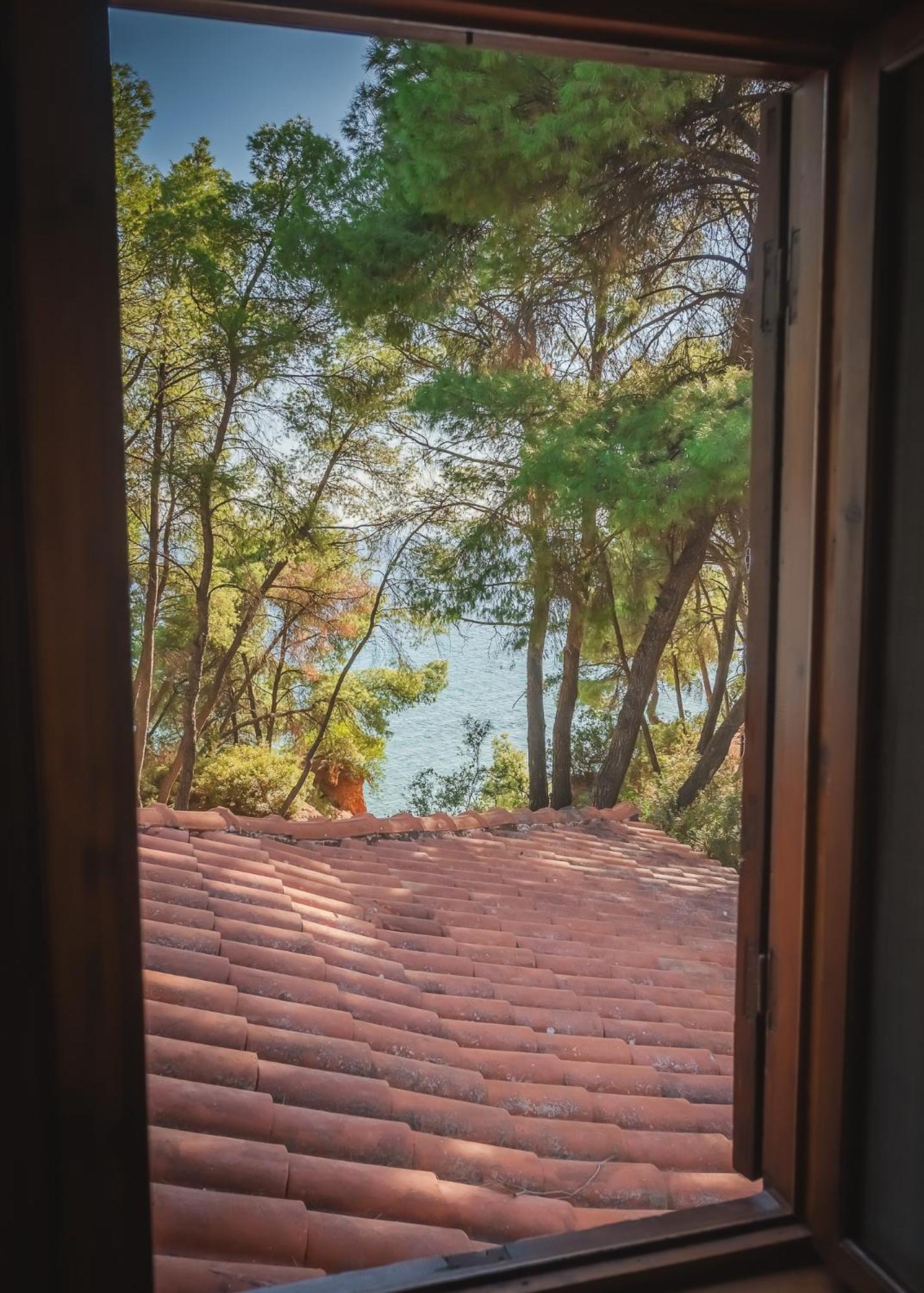 Squirrel Front Villa, Holiday home