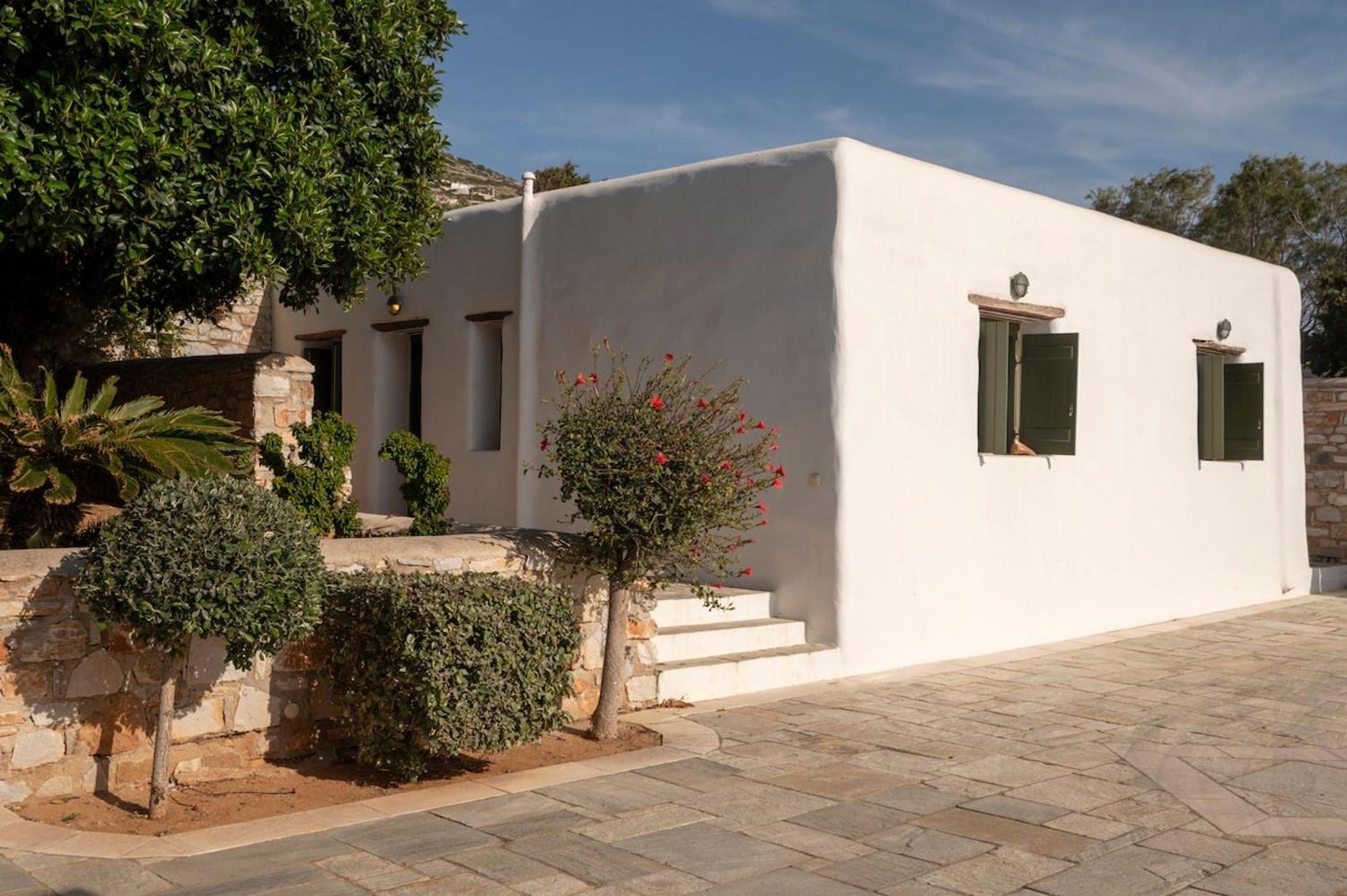 Franca Ideal For Wedding Parties
