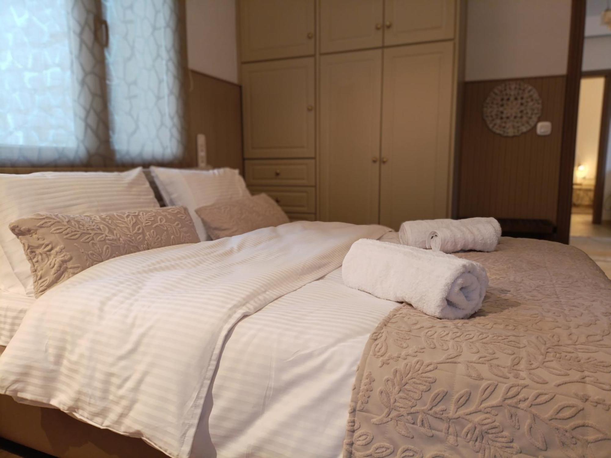 Avra Metsovou Apartment *