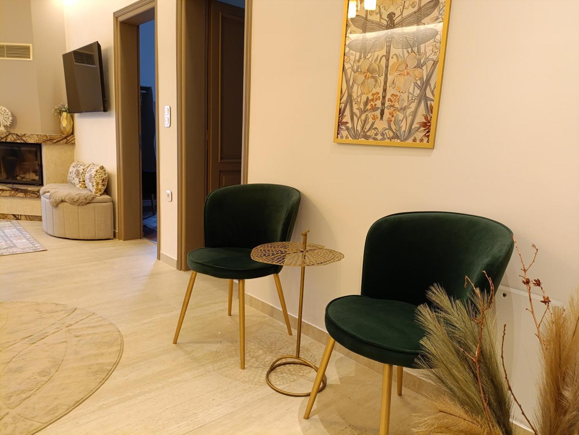 Apartment Avra Metsovou