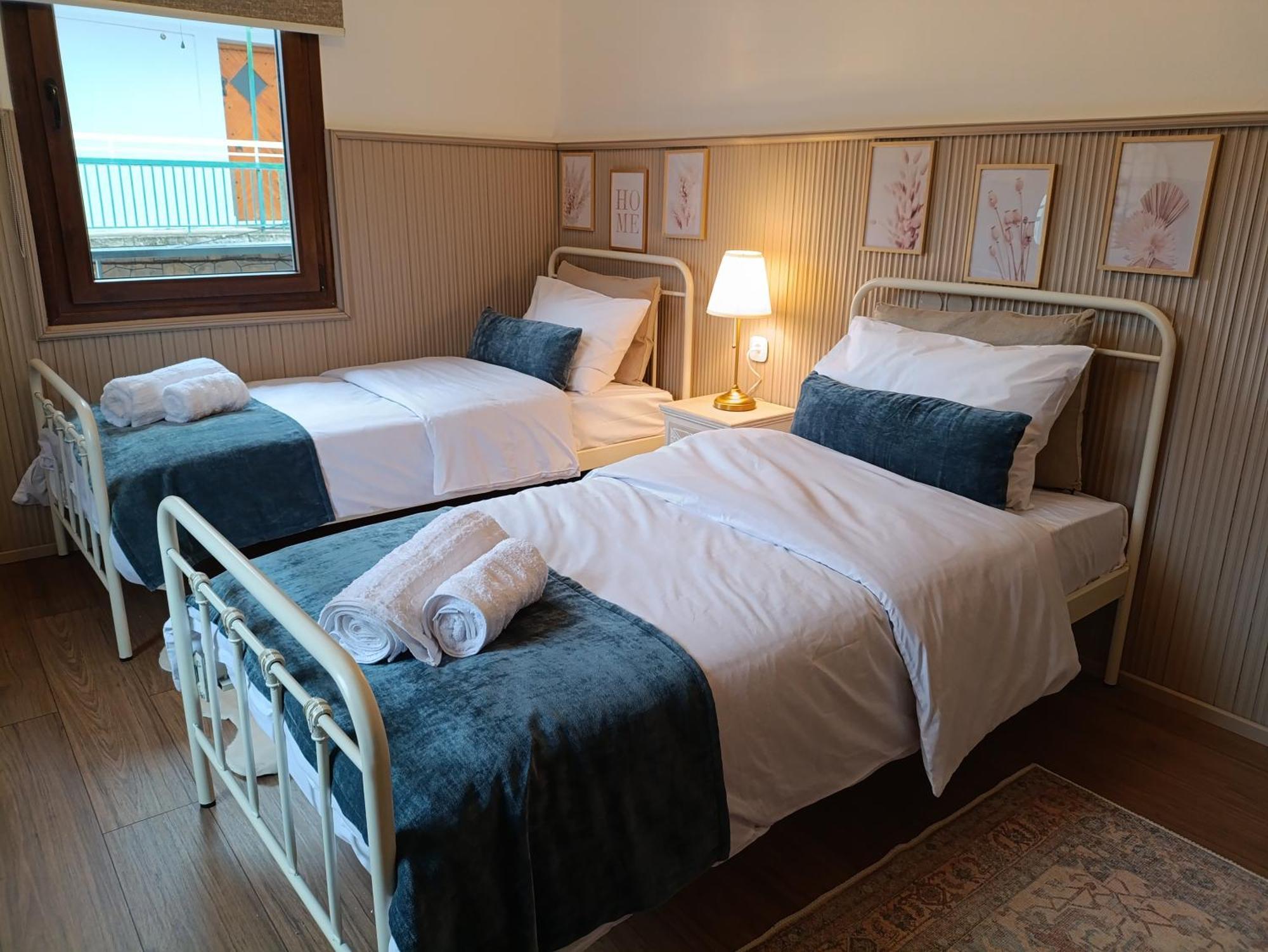 Avra Metsovou Apartment