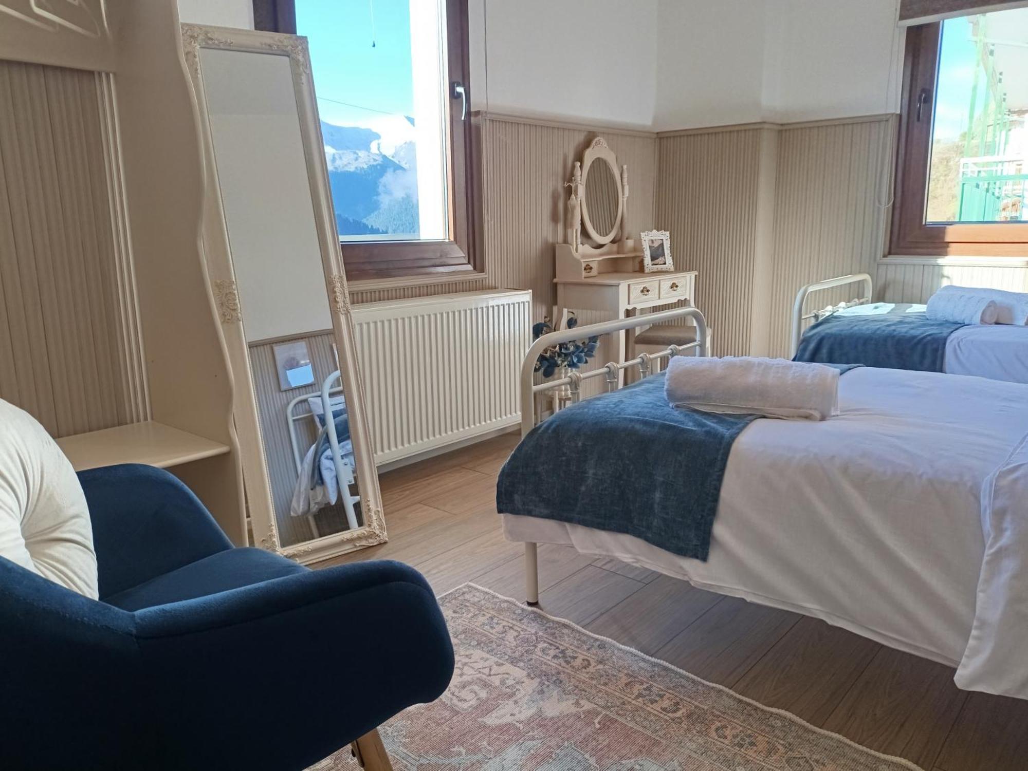 Avra Metsovou Apartment *