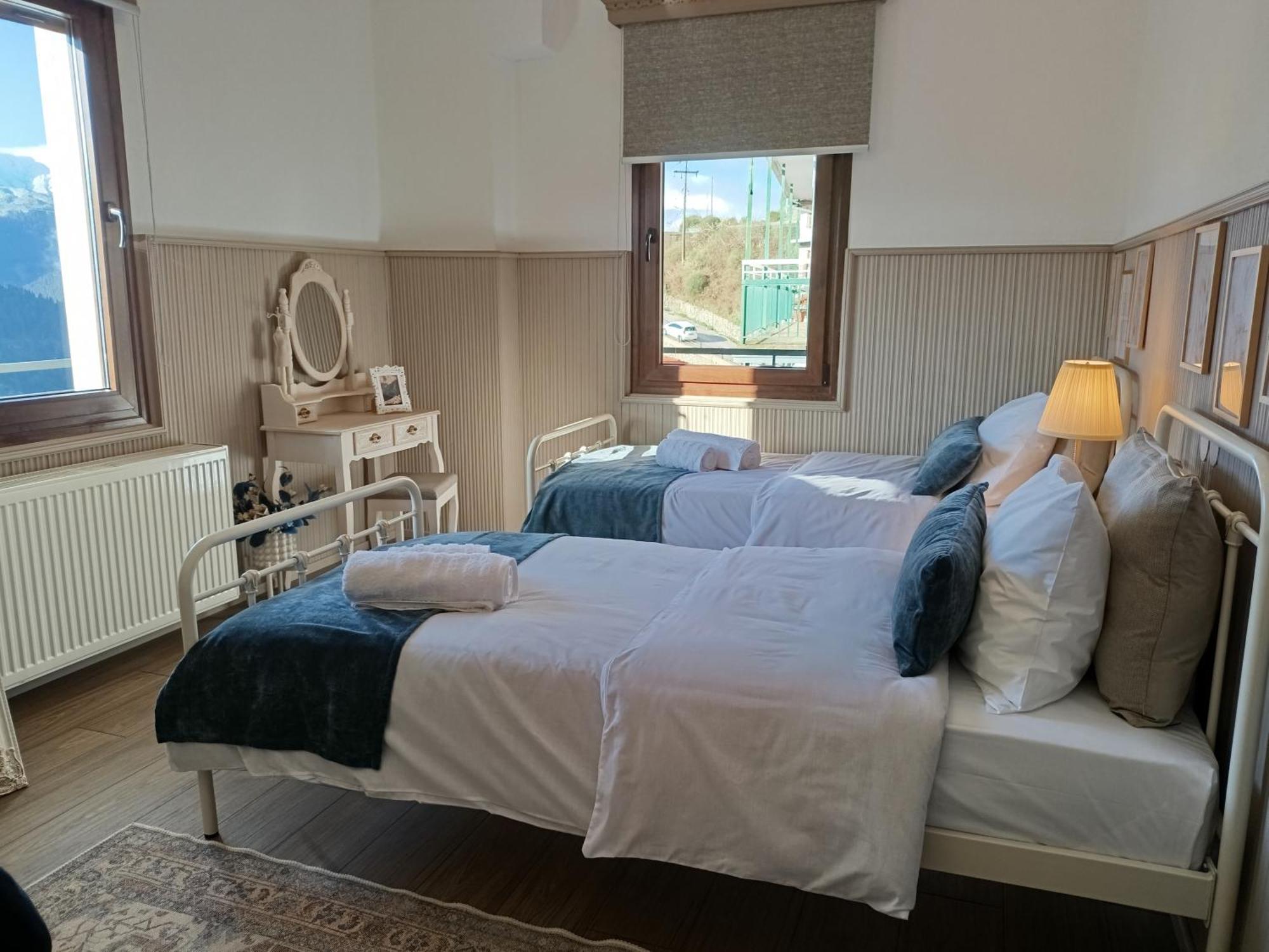 Apartment Avra Metsovou