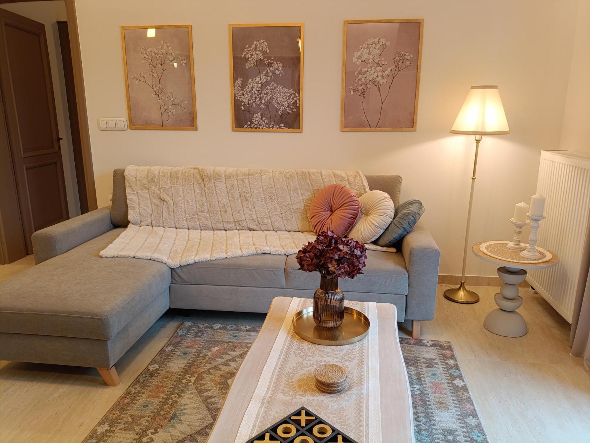 Avra Metsovou Apartment