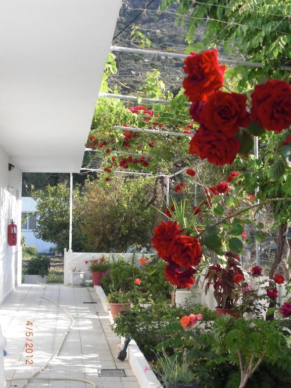 Spring Kefalos (Kos)