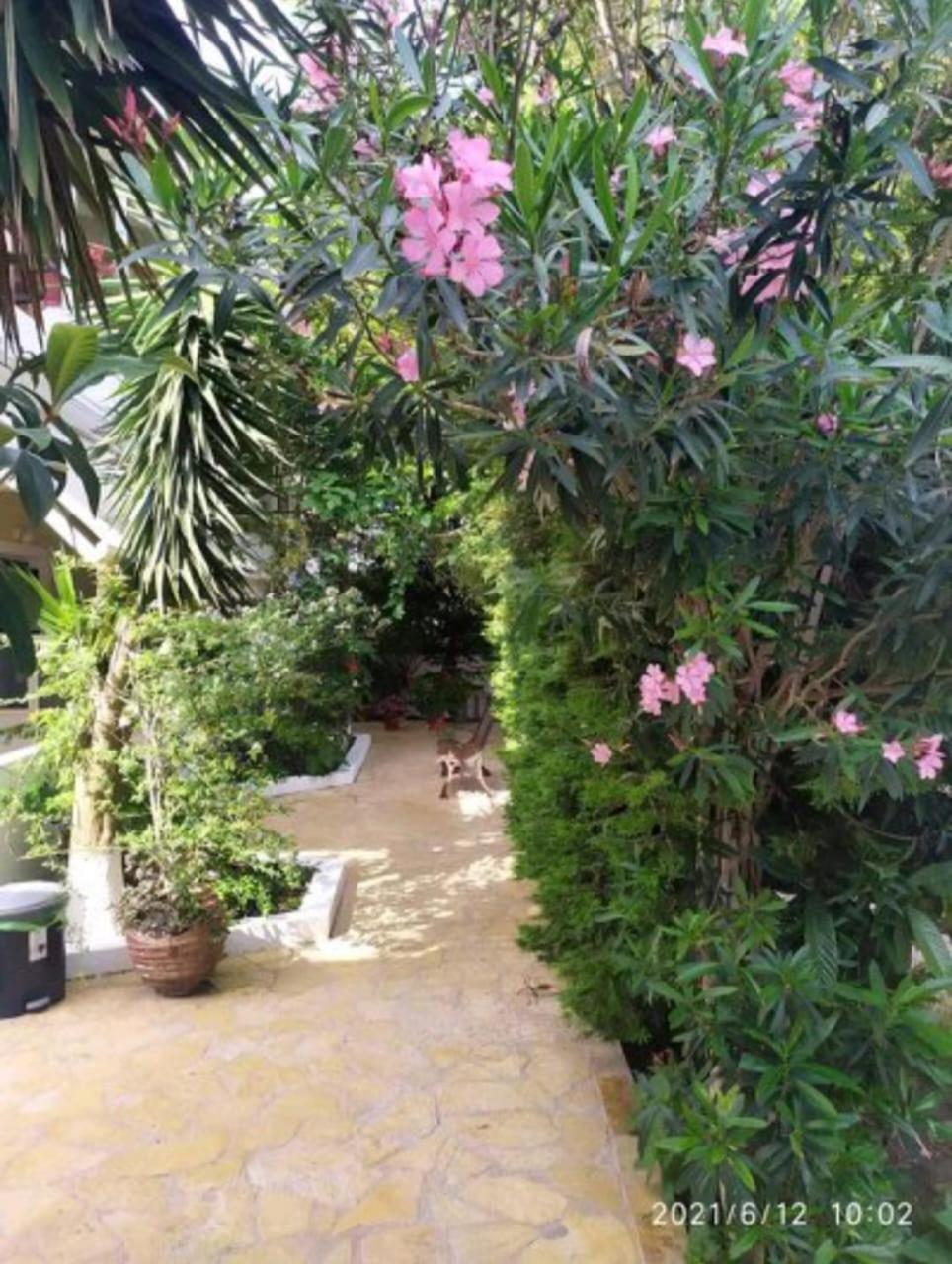 Lenia 2* Kalamitsi (Lefkada)