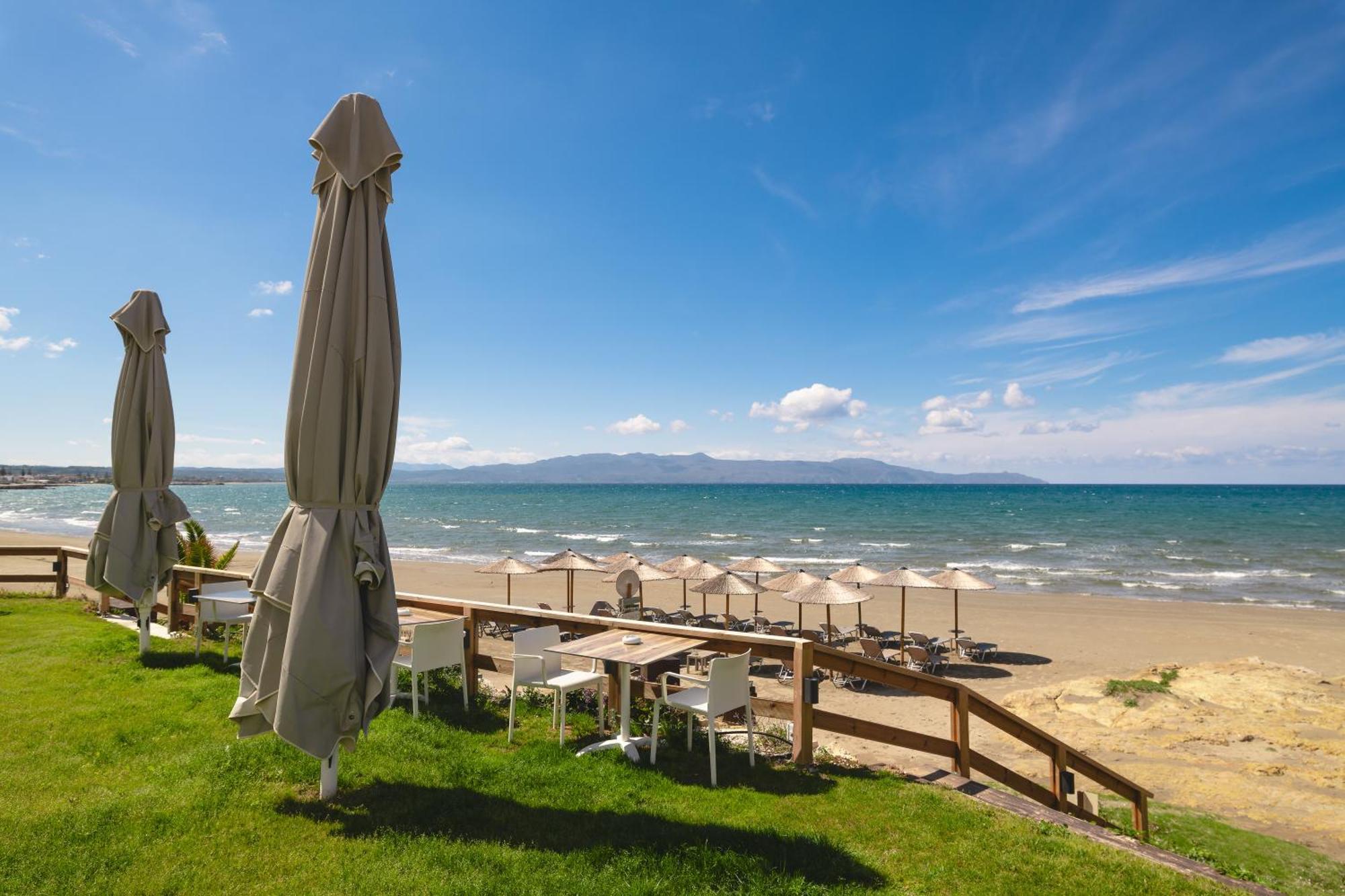 Elia Agia Marina (Crete)