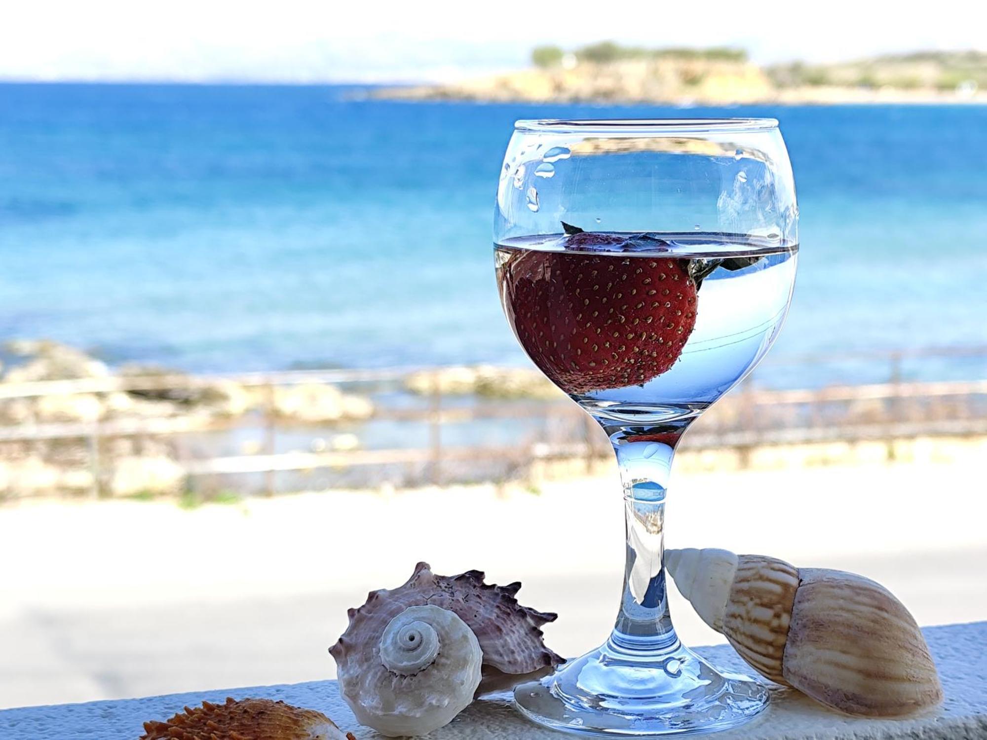 Lily Of Crete 2 - Sea & Front Apartment