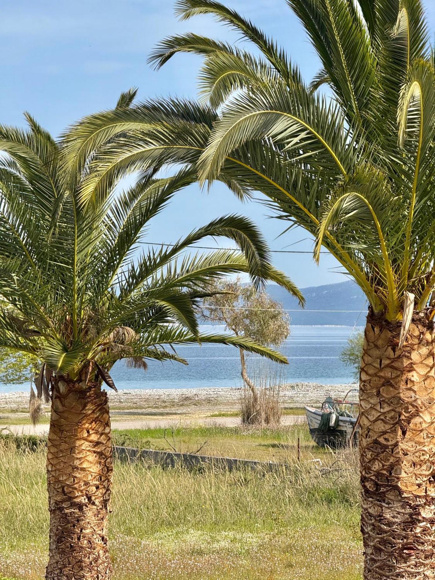 Apolonio Evia 4* Pefki (Evia)