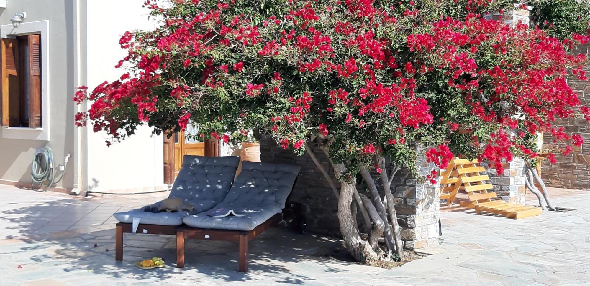 Villa Andros Private Villa Overlooking The Blue Aegean Sea Kipri (Andros)