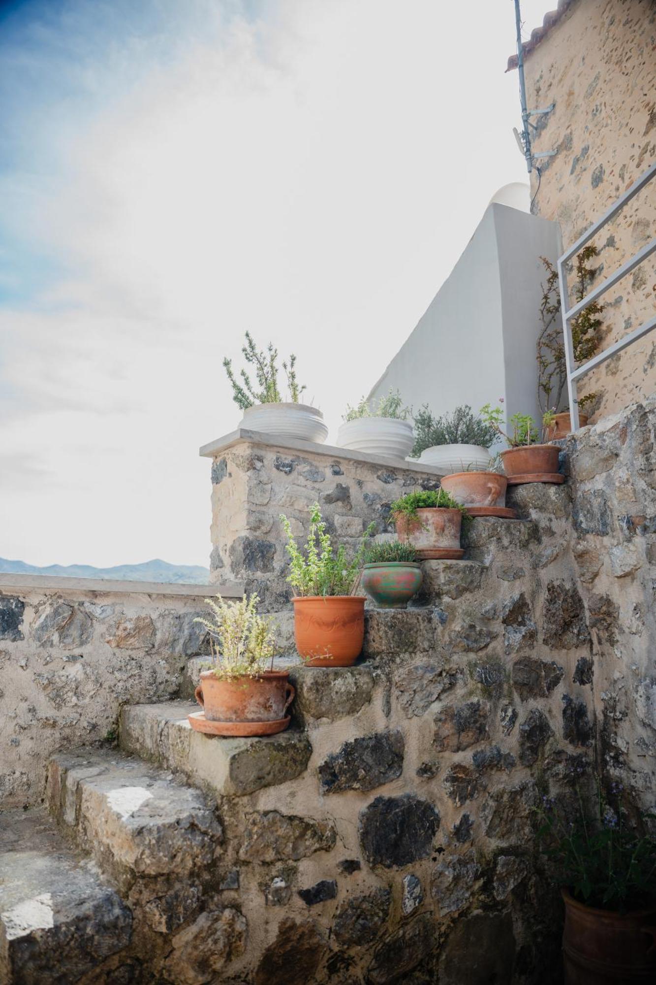 Domus Polymnia, Hospitality At Its Best! Apartment Spilion