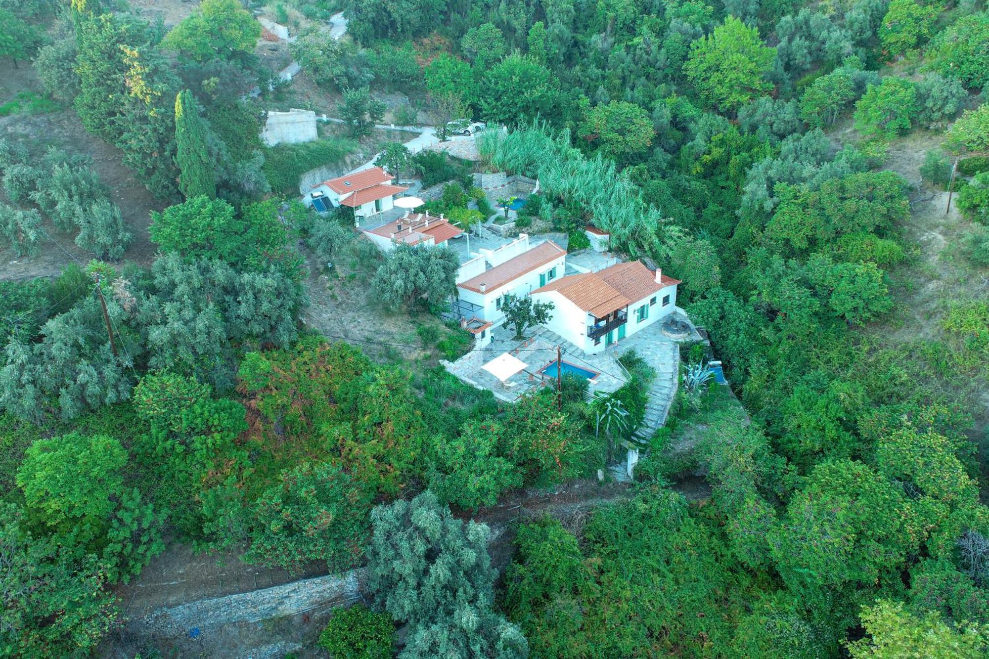 Olea Skopelos With Swimming Pools & Sea View * Panormos (Skopelos)