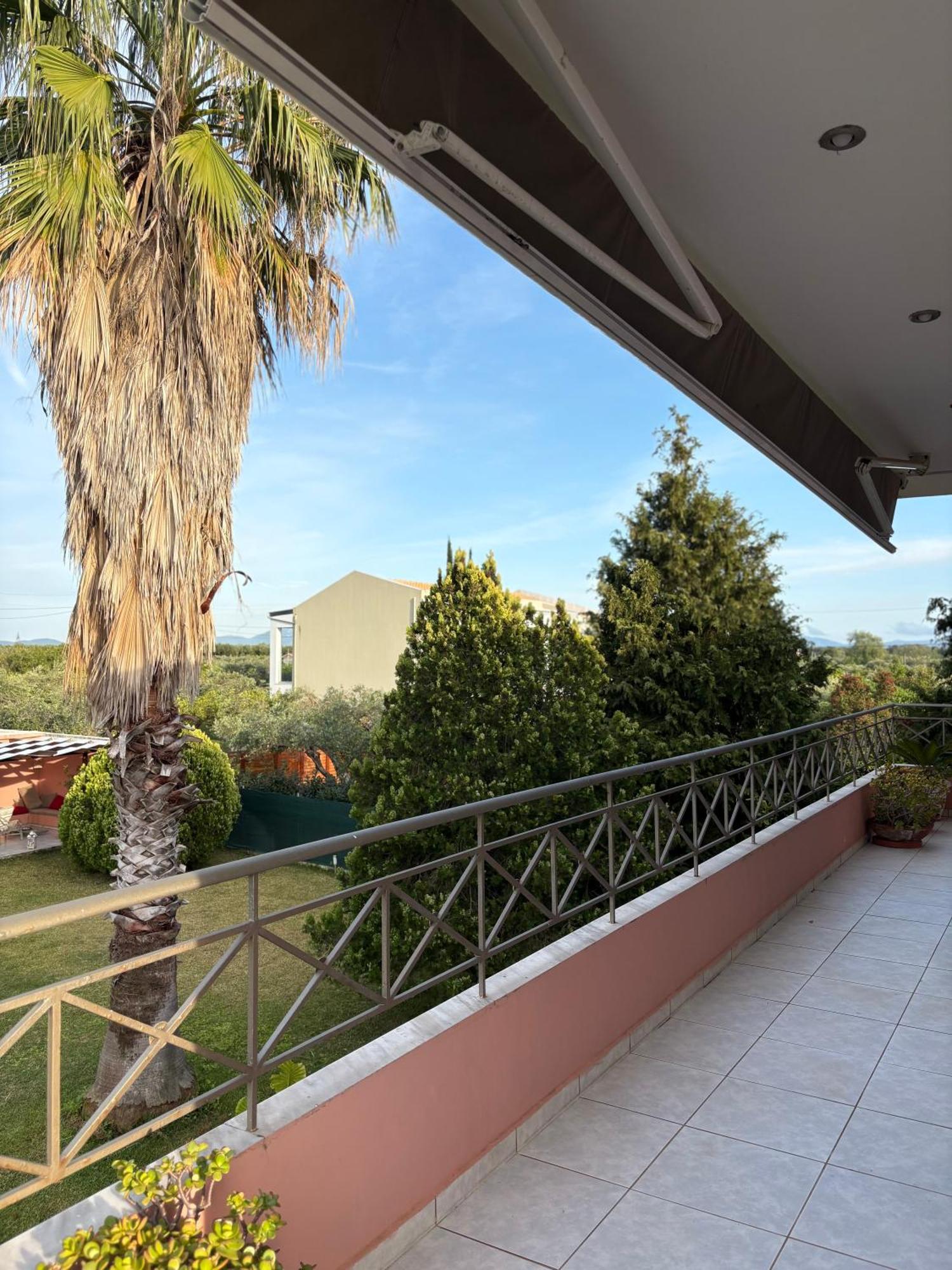 Oneiropagida * Preveza