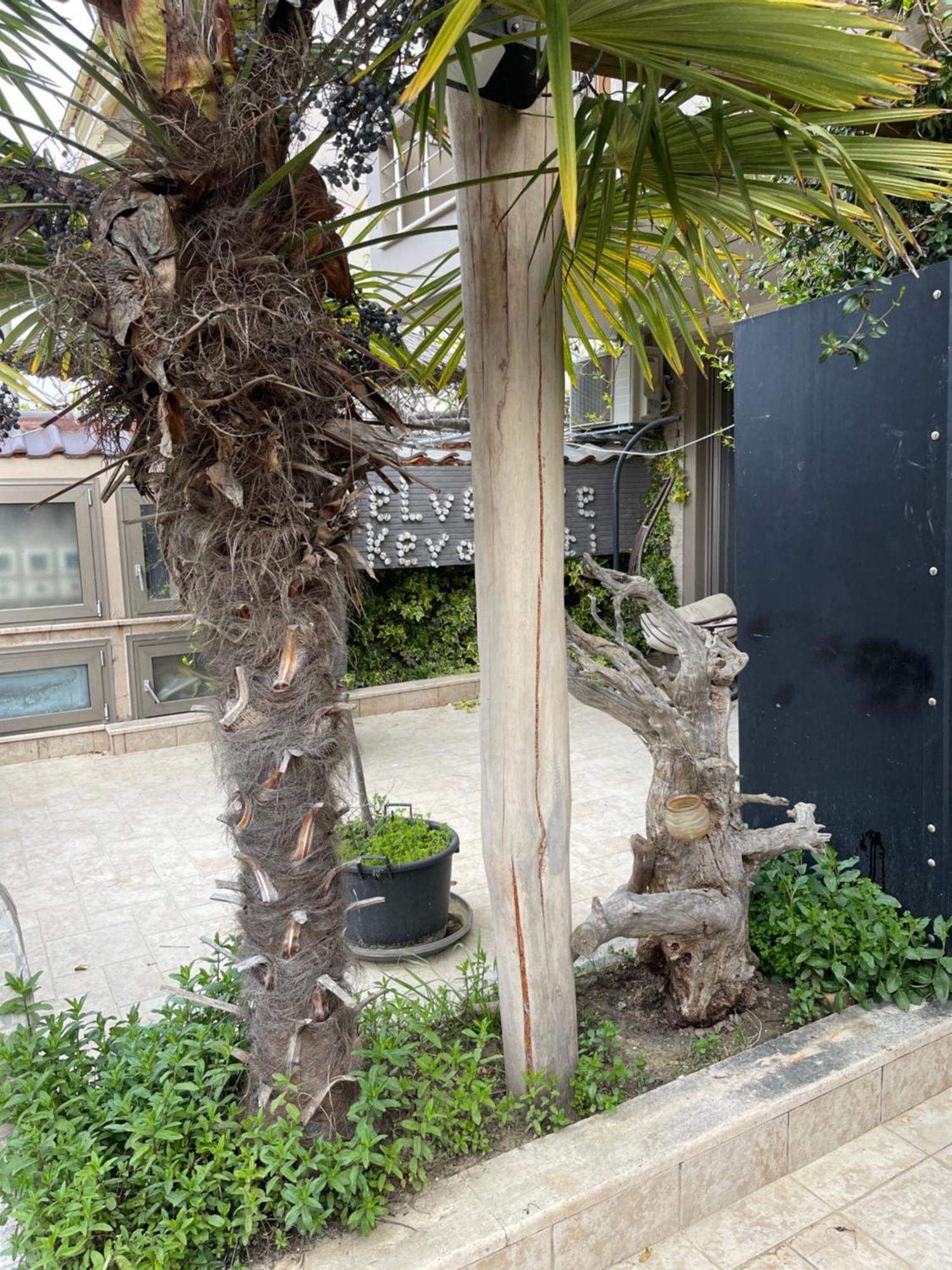 Apartment Belvedere κeramoti *