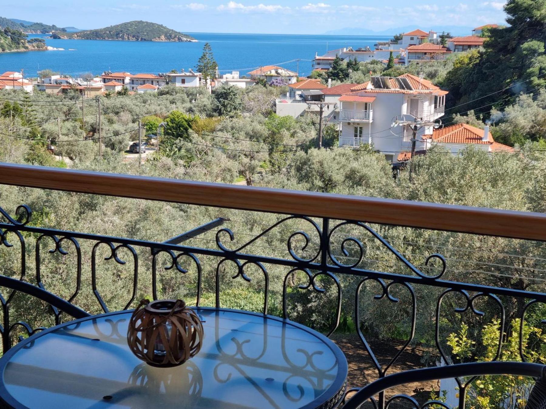 Olive Grove View