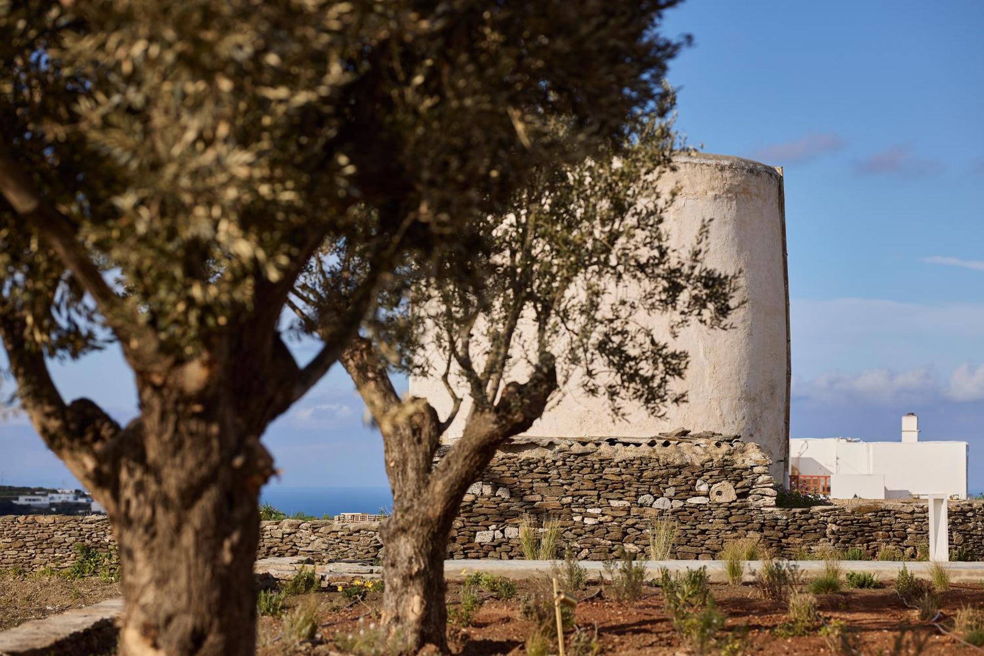 Nival Boutique Hotel Apollonia (Sifnos)