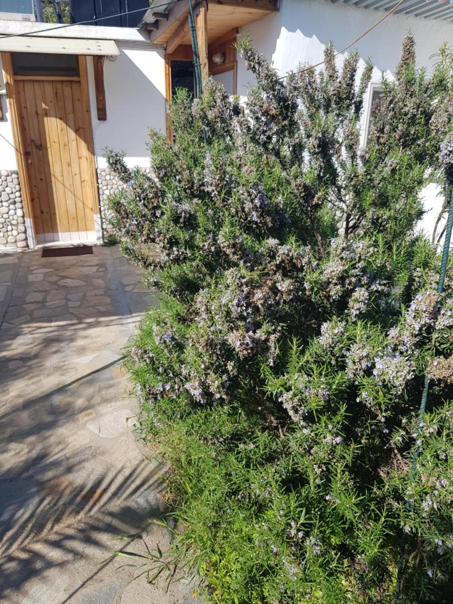 Doukas By The Sea-little Paradise-beachfront * Skala Marion