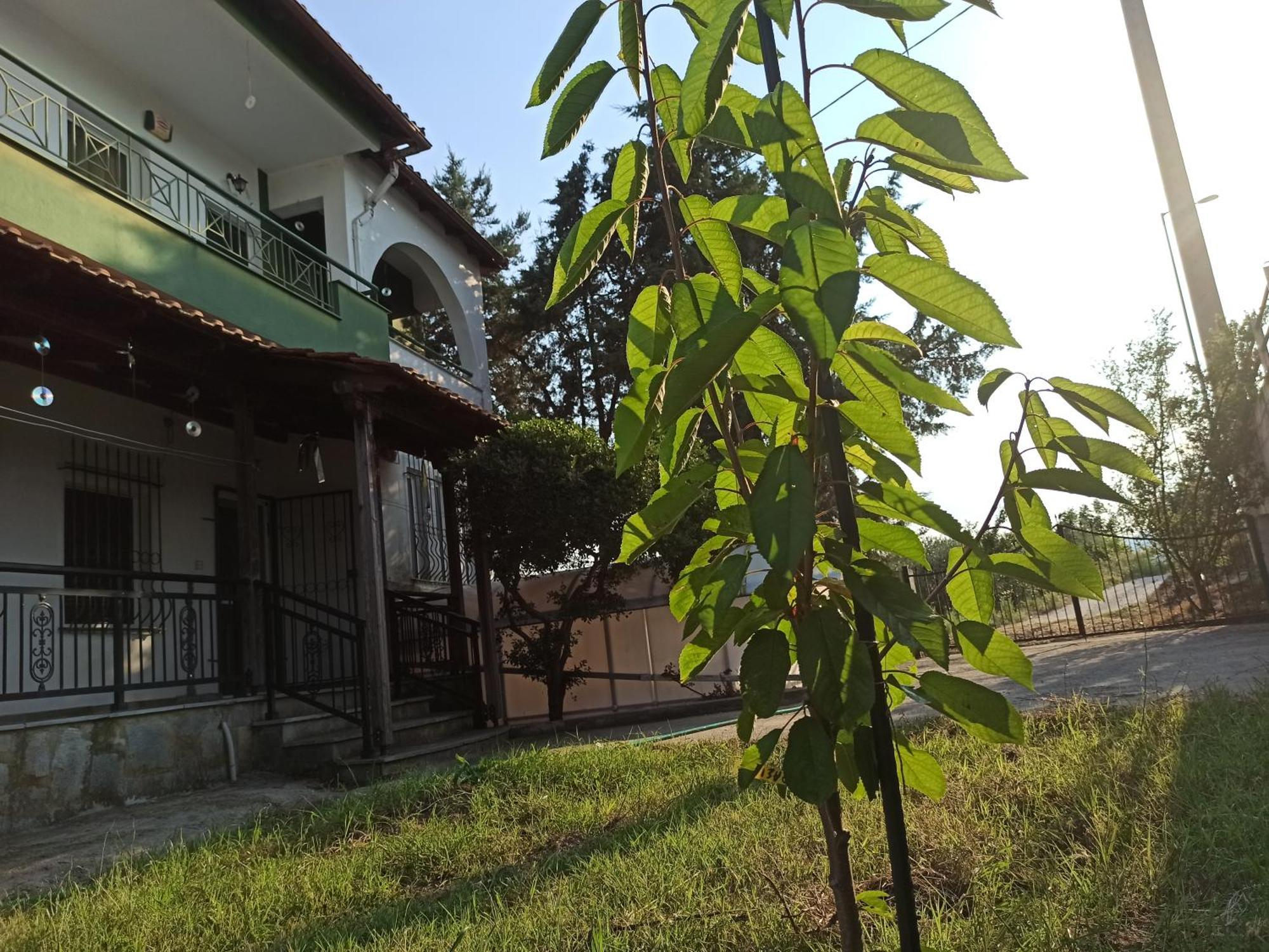 Holiday home The Emerald Lopi, 2km From Ammolofoi Beach! The Kept Secret In Nature, Of