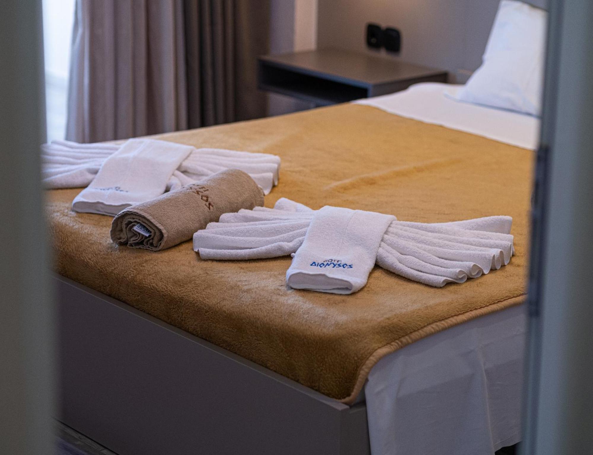 Dionysos Polichrono Hotel Polychrono