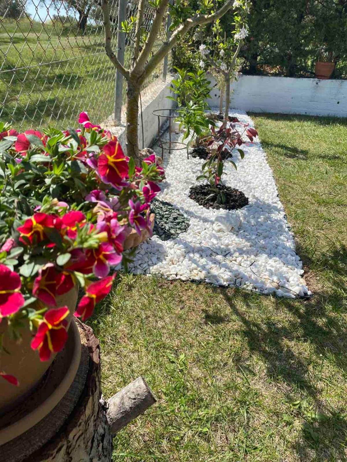 Golden House Alexandroupoli