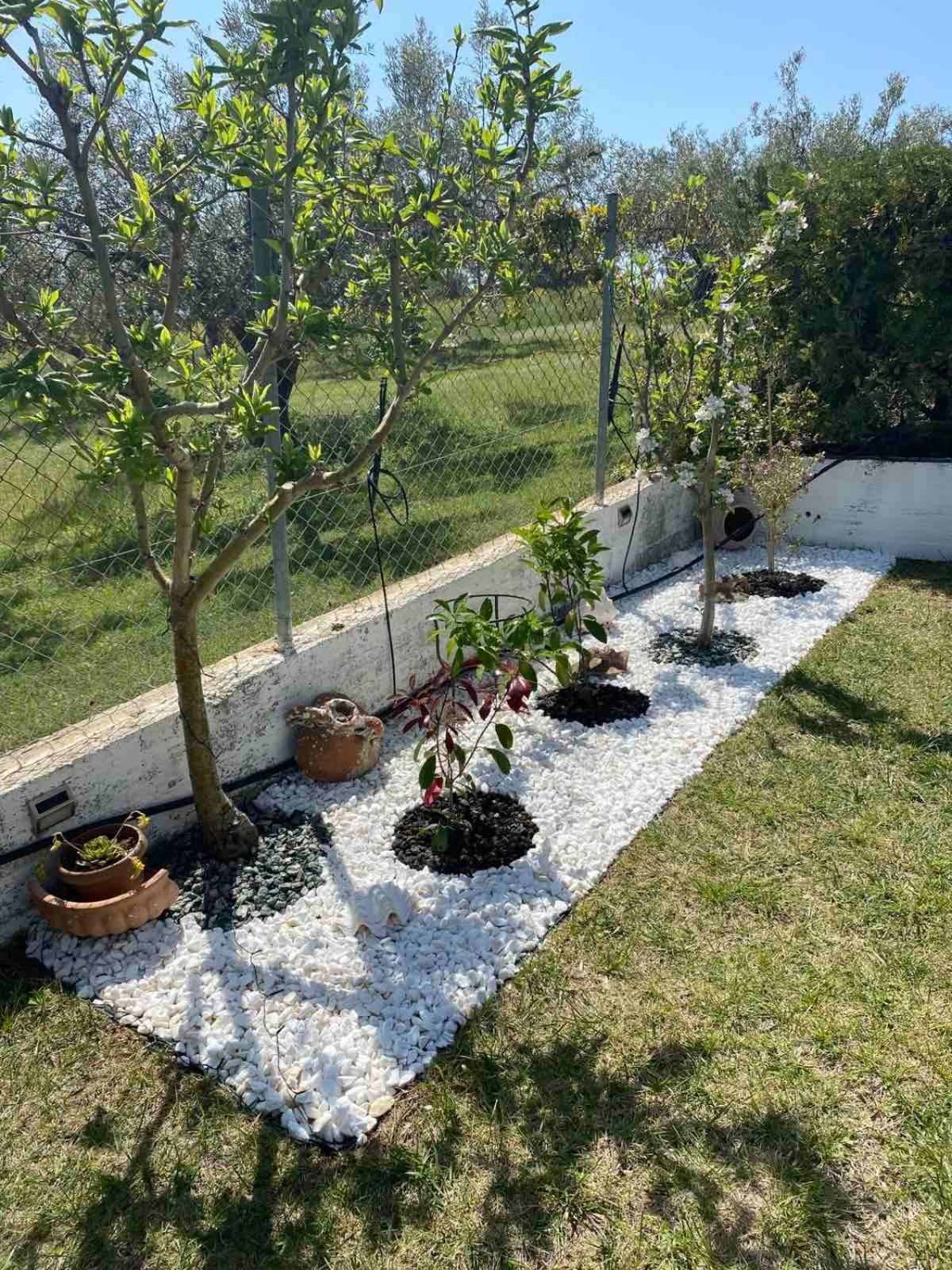 Golden House * Alexandroupoli